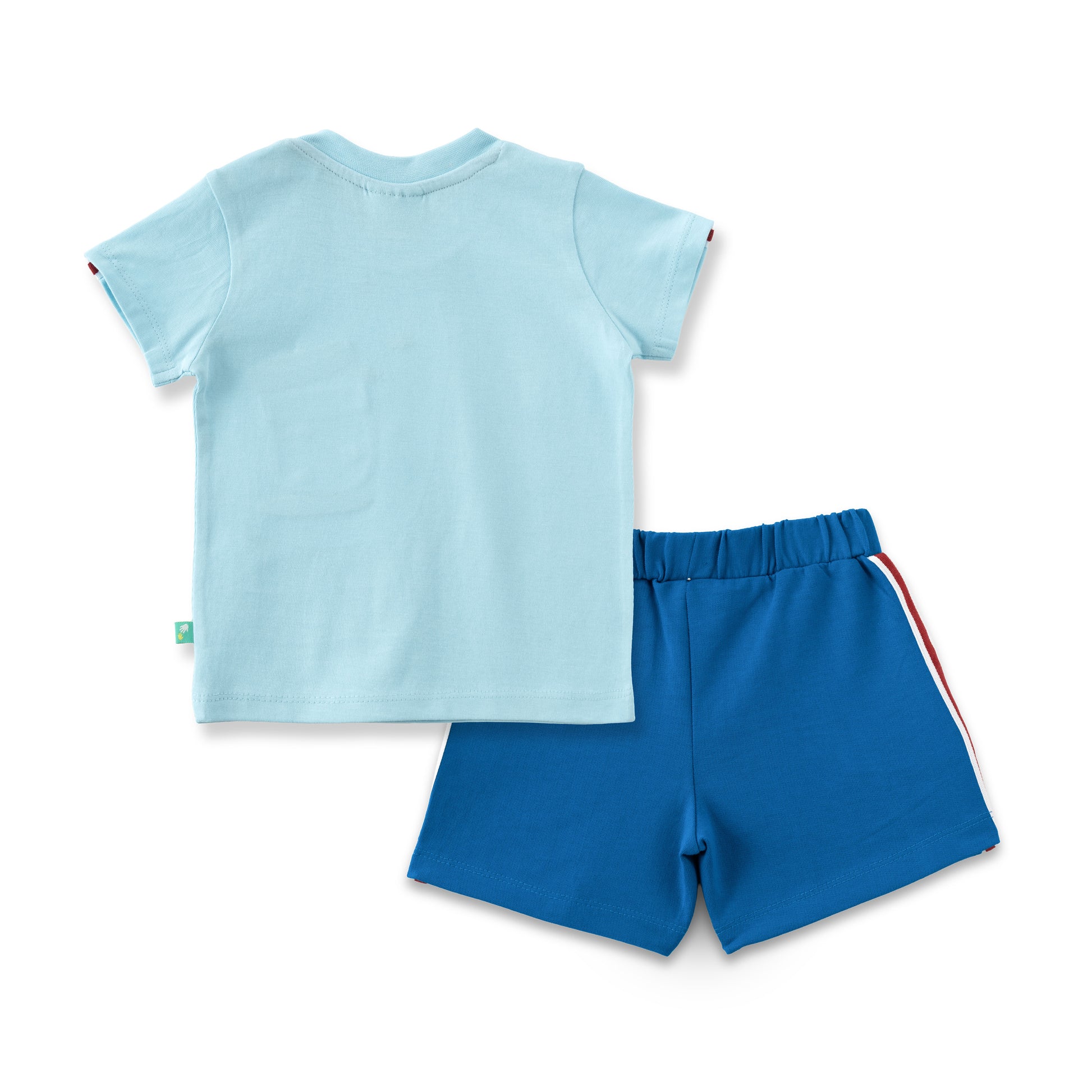 "Baby Boys Aqua Blue Butterfly Jar Print T-Shirt & Navy Blue Cotton Shorts Set"