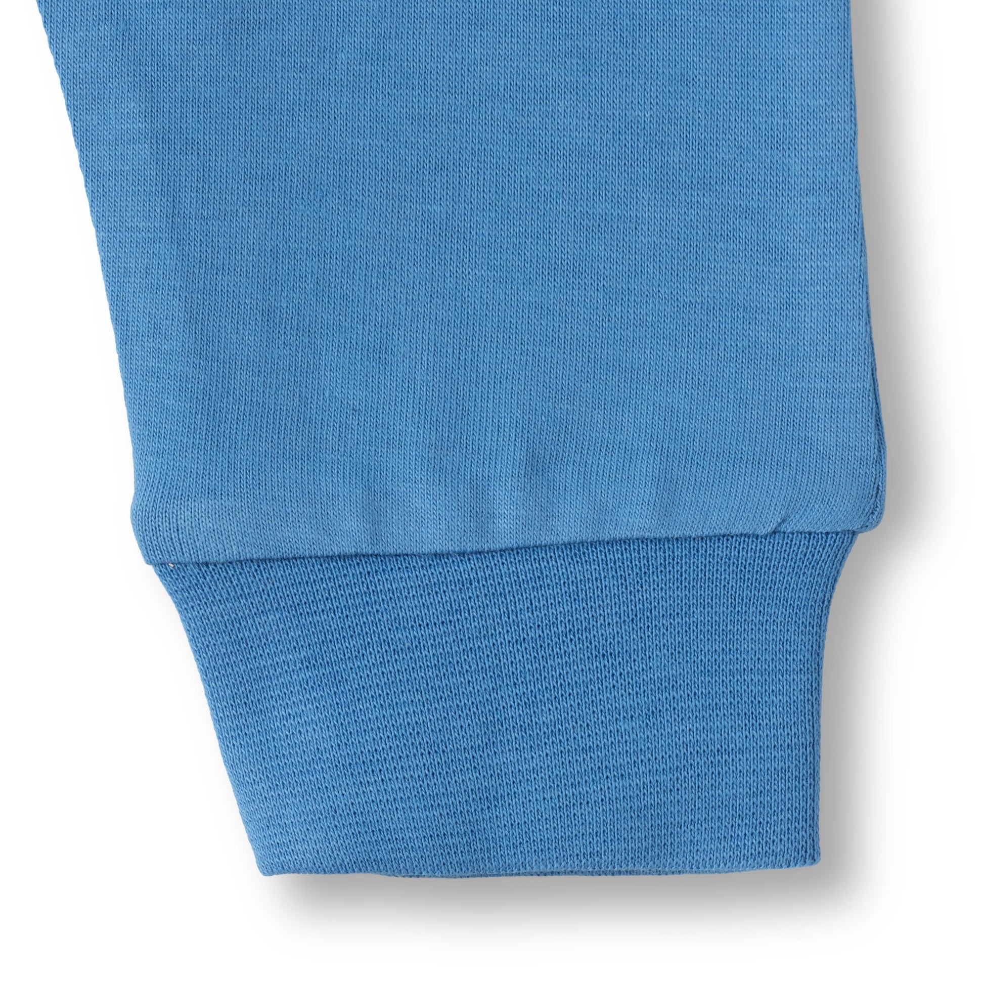 "Baby Boys 2-Pack Cotton Jogger Pants – Blue Solid & White Apple Print"