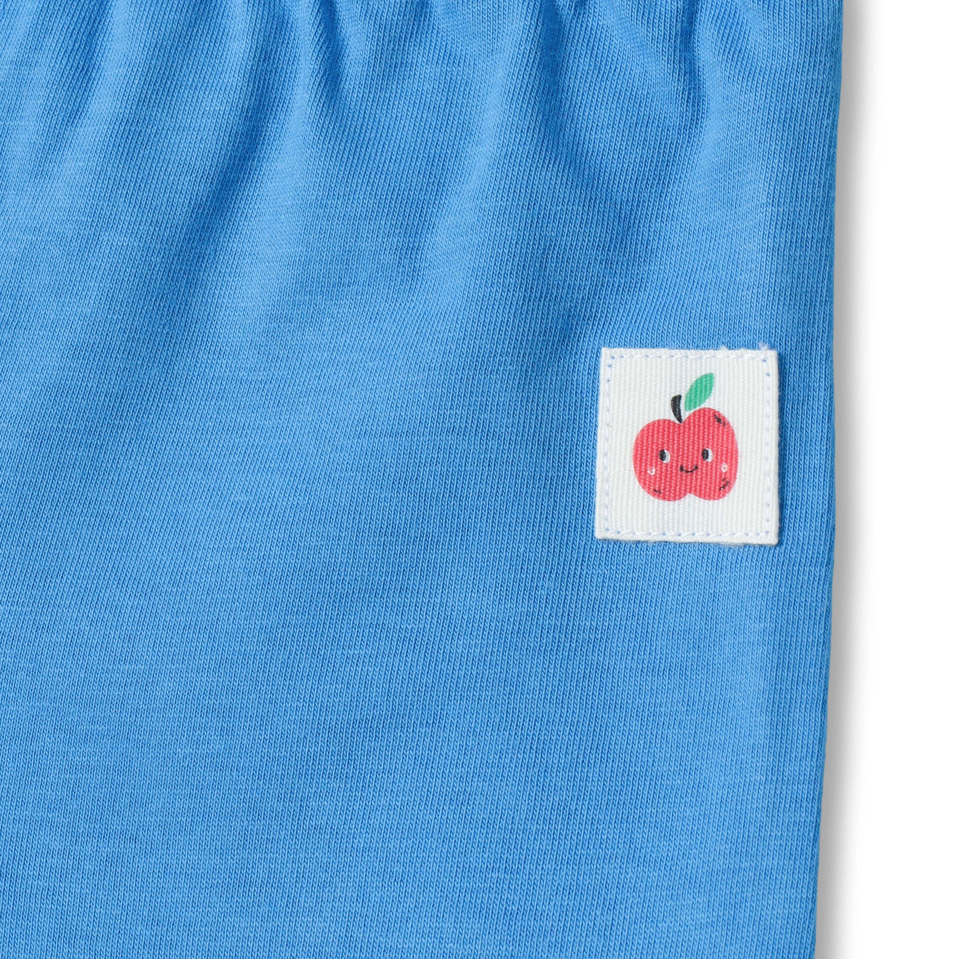 Baby Boys 2-Pack Soft Cotton Shorts – Blue & “A for Apple” Print