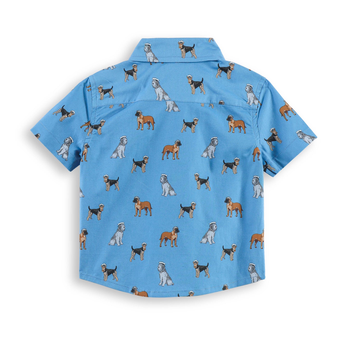 “Baby Boys Blue Dog Print Cotton Shirt & Shorts Co-Ord Set – Soft, Breathable & Stylish Summer Outfit"
