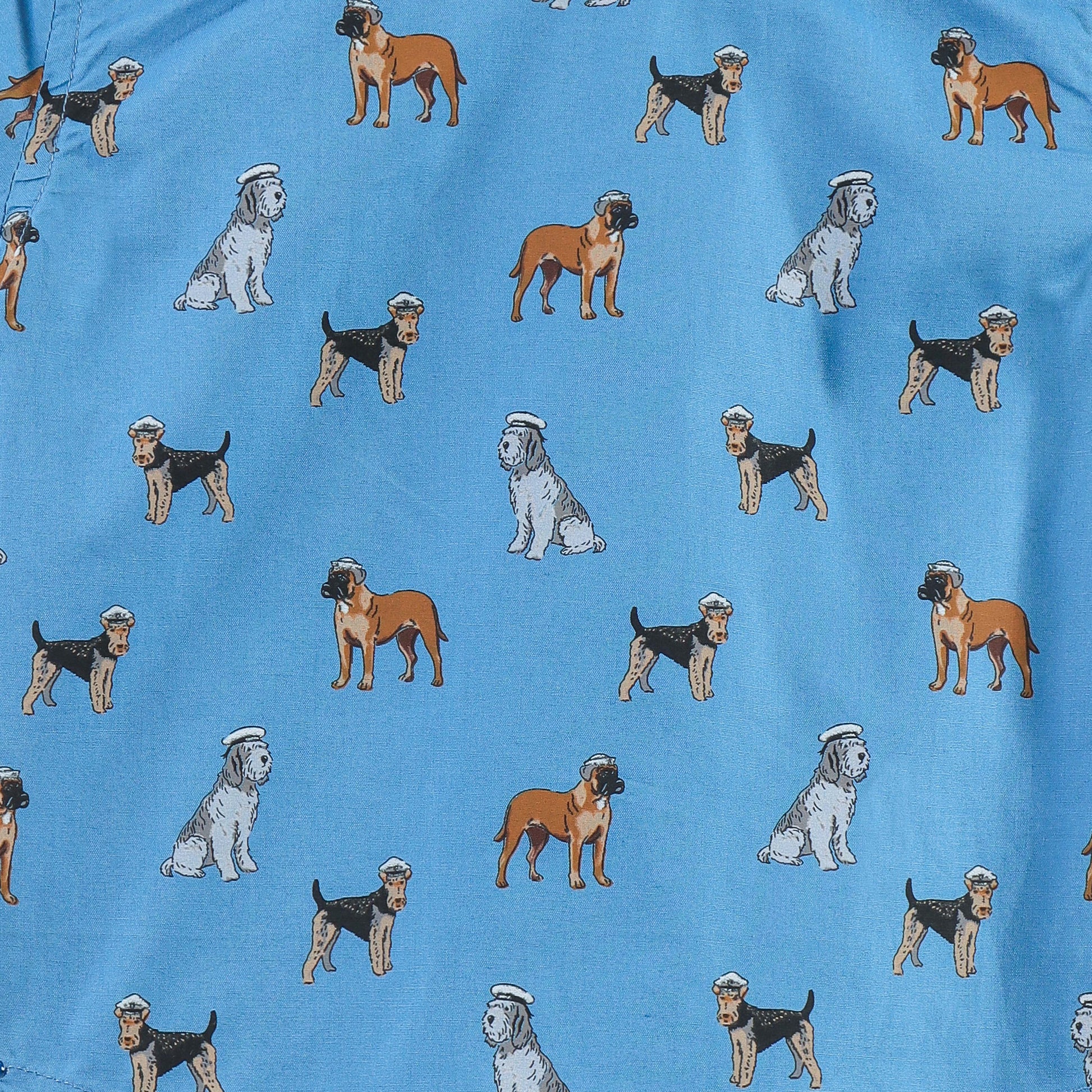 “Baby Boys Blue Dog Print Cotton Shirt & Shorts Co-Ord Set – Soft, Breathable & Stylish Summer Outfit"