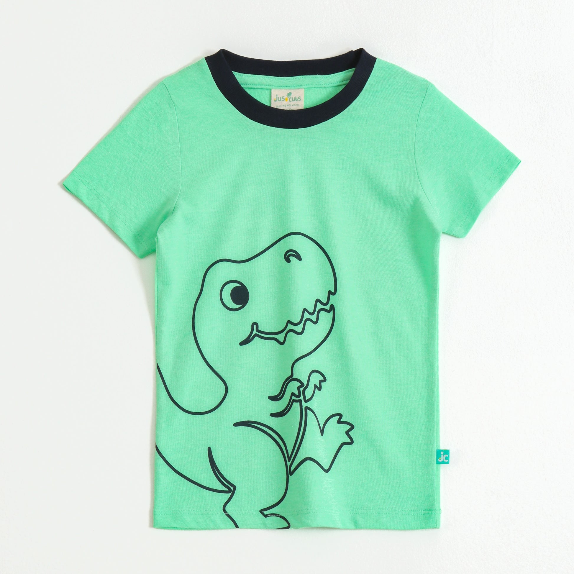 Boys Mint Green Dinosaur Graphic Printed Half Sleeve Cotton T-Shirt