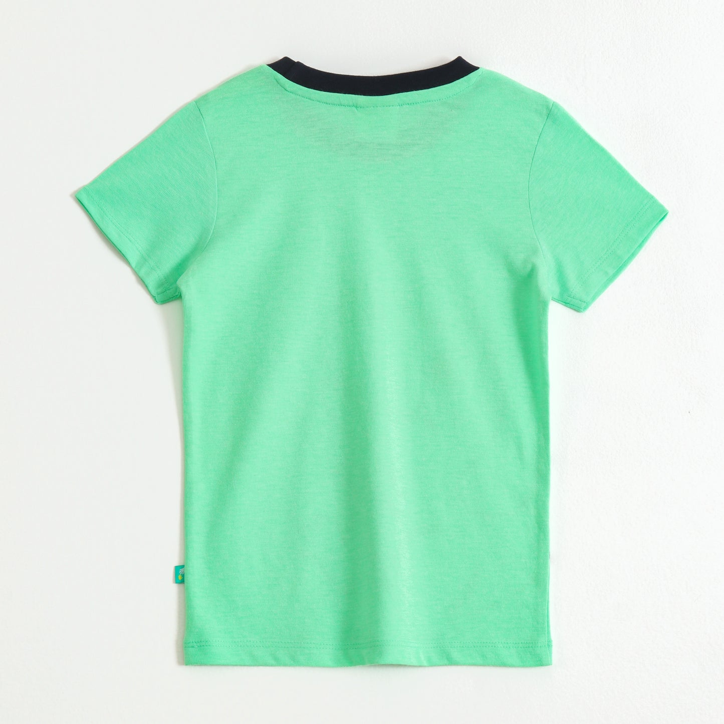 Boys Mint Green Dinosaur Graphic Printed Half Sleeve Cotton T-Shirt