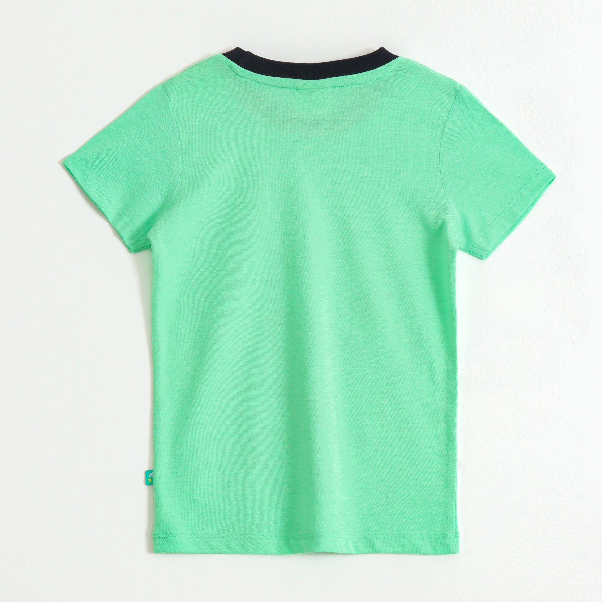 Boys Mint Green Dinosaur Graphic Printed Half Sleeve Cotton T-Shirt