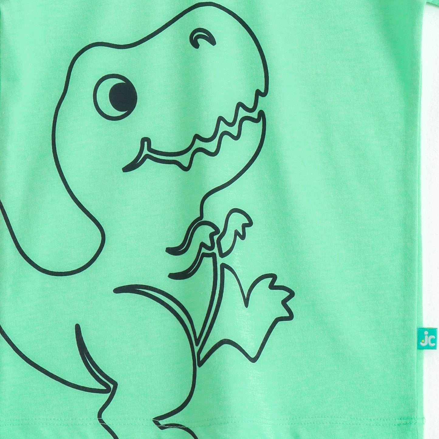Boys Mint Green Dinosaur Graphic Printed Half Sleeve Cotton T-Shirt
