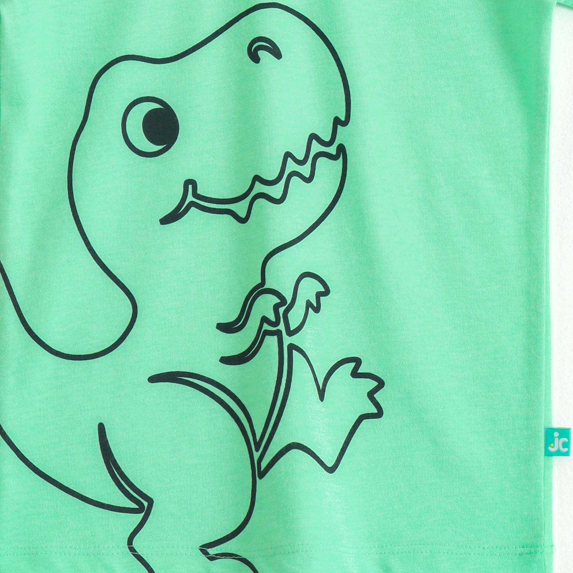 Boys Mint Green Dinosaur Graphic Printed Half Sleeve Cotton T-Shirt
