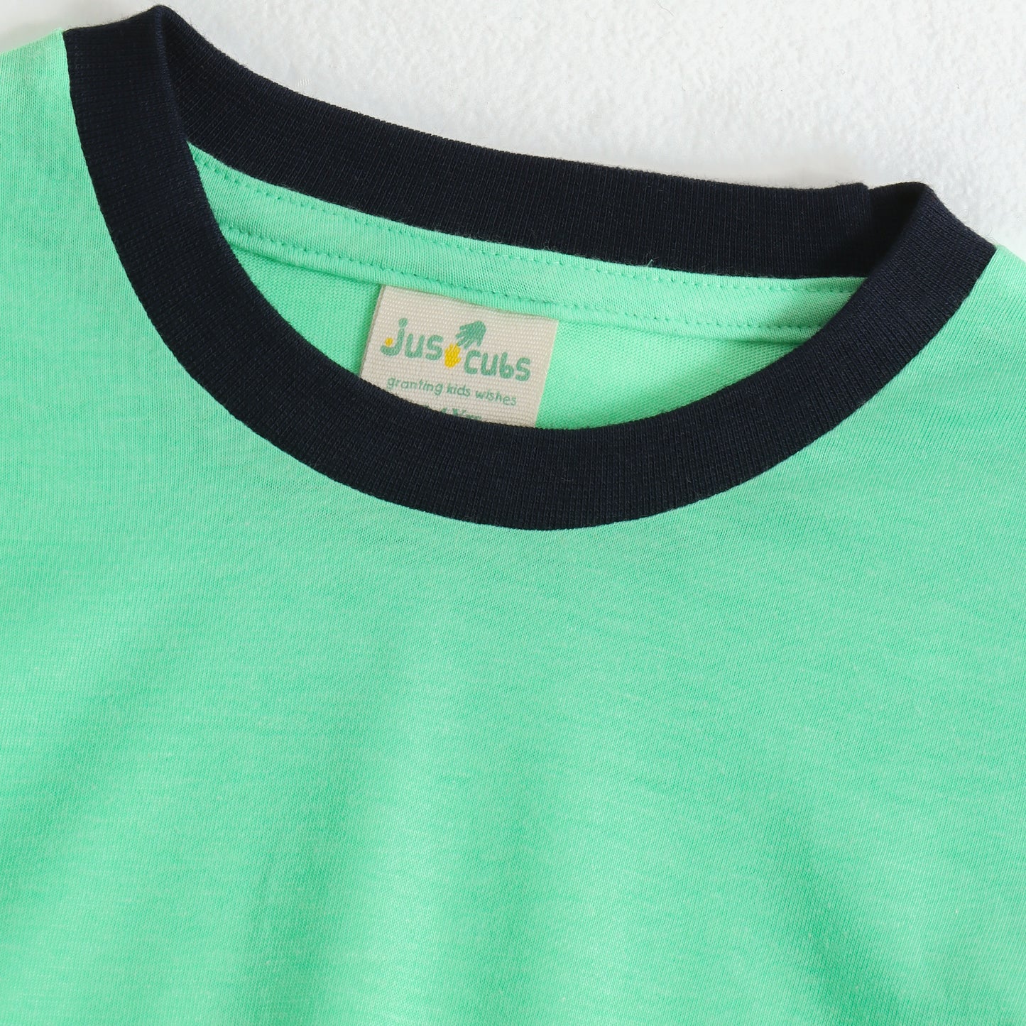 Boys Mint Green Dinosaur Graphic Printed Half Sleeve Cotton T-Shirt