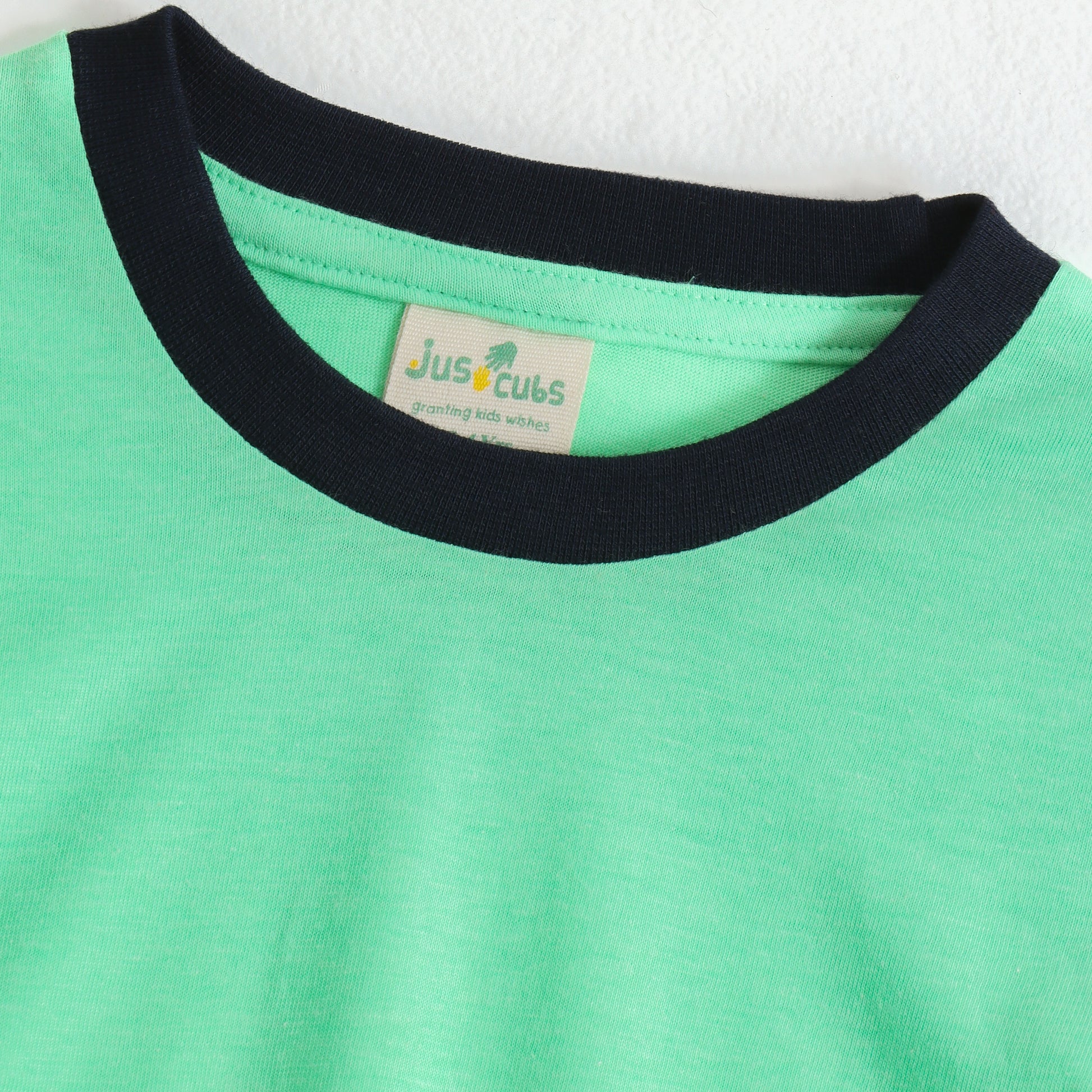 Boys Mint Green Dinosaur Graphic Printed Half Sleeve Cotton T-Shirt