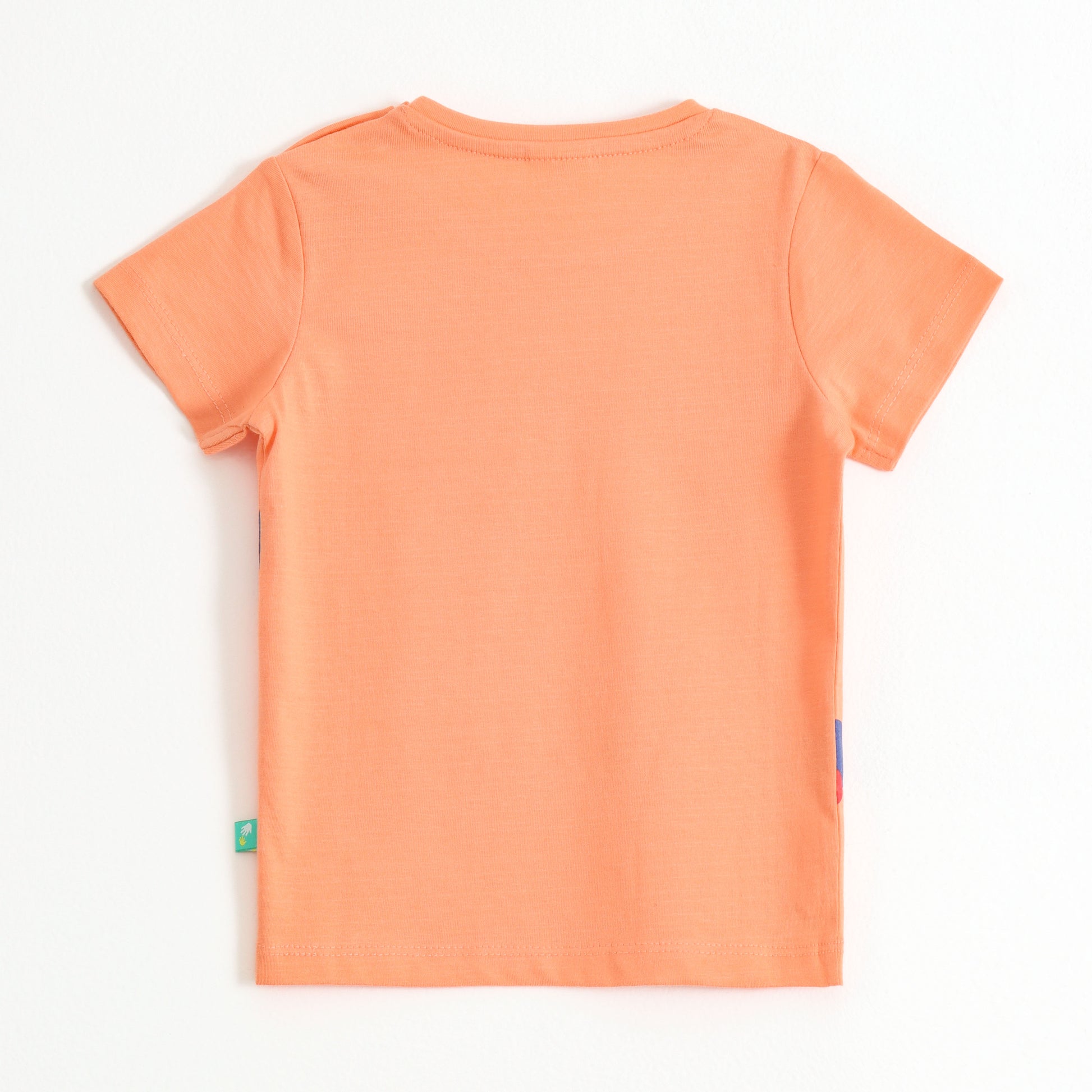 Baby Boys Peach Train Graphic Printed Cotton T-Shirt
