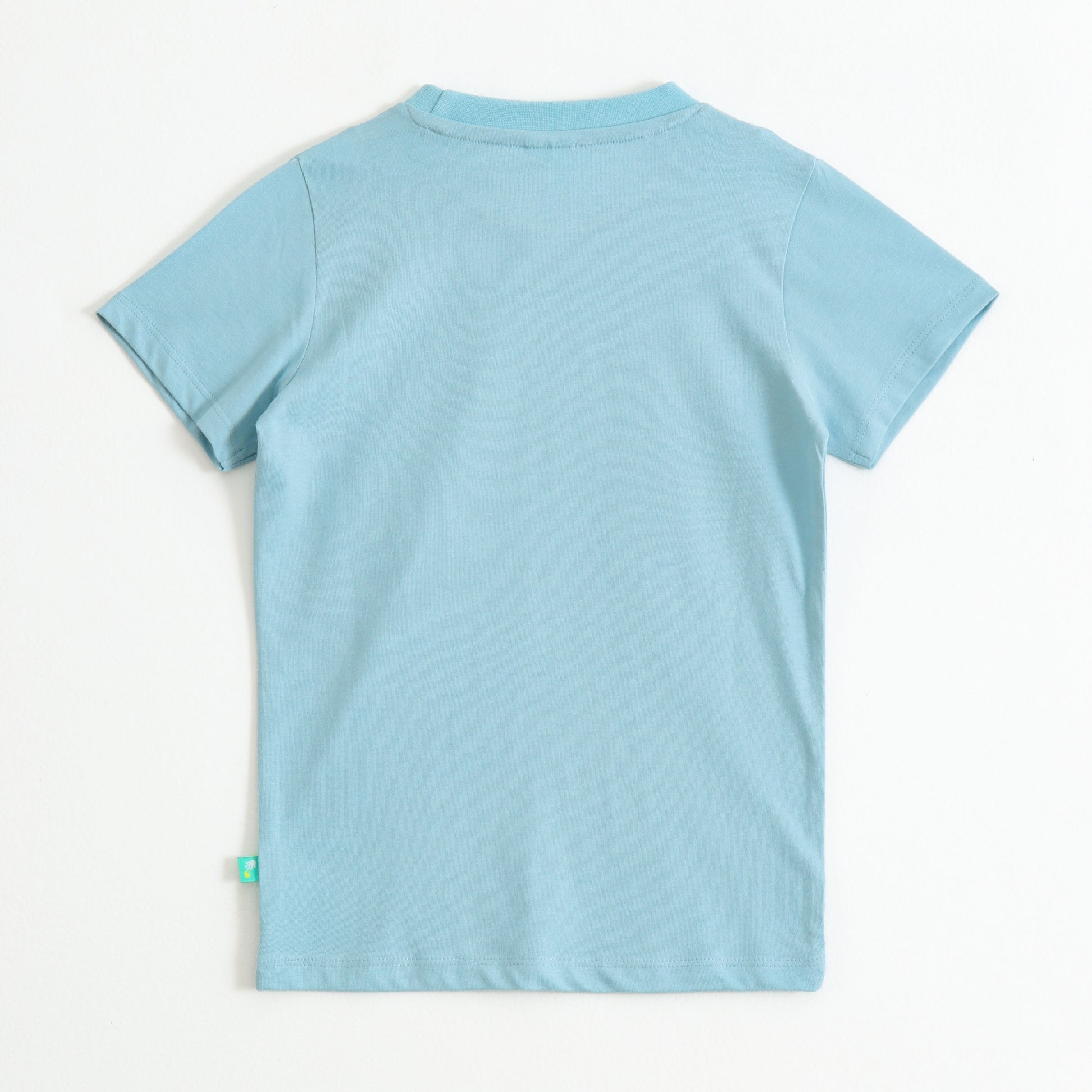 Boys Sky Blue "Camp Life" Graphic Printed Cotton T-Shirt