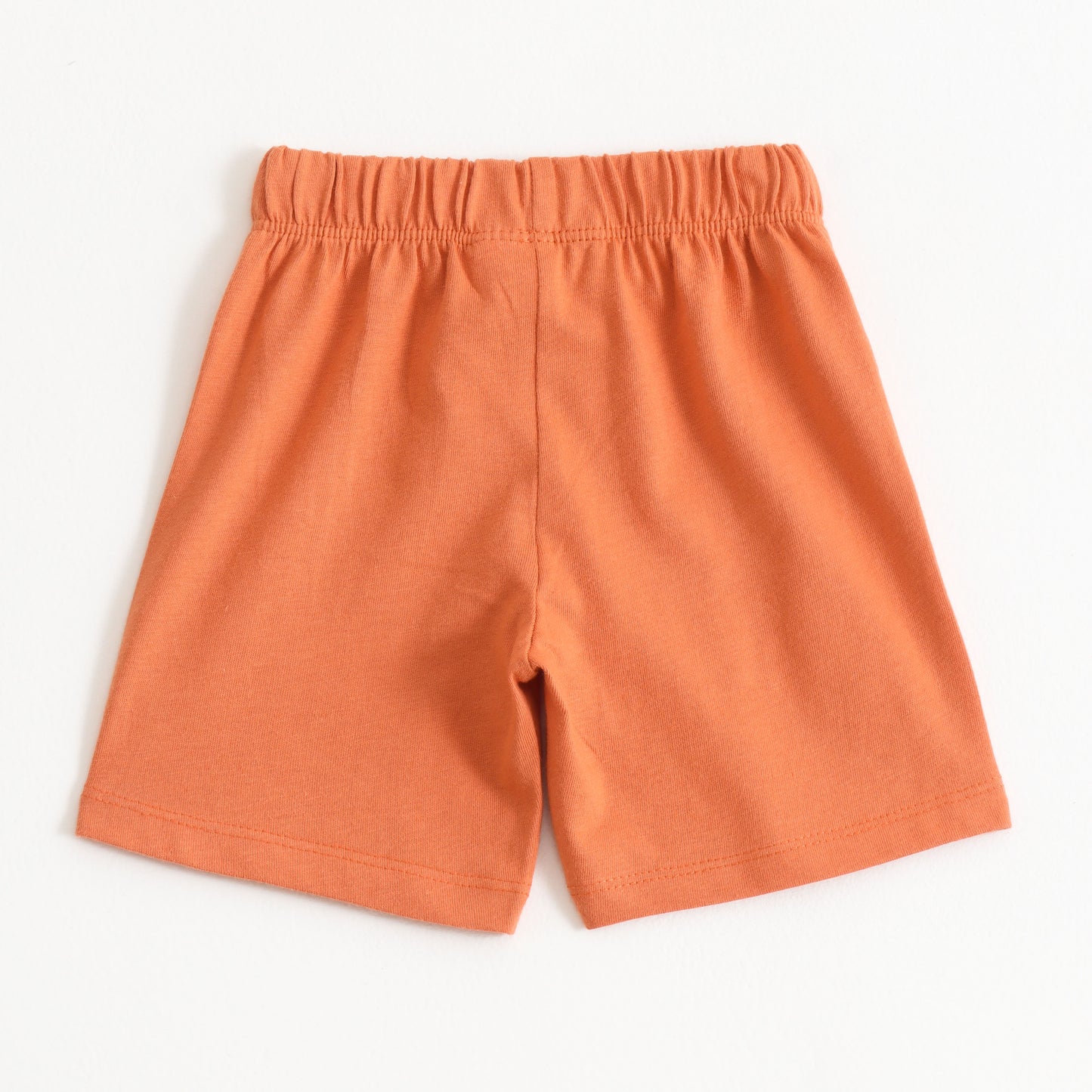 Boys Orange Solid Cotton Knit Regular Fit Shorts with Elastic Waist & Drawstring
