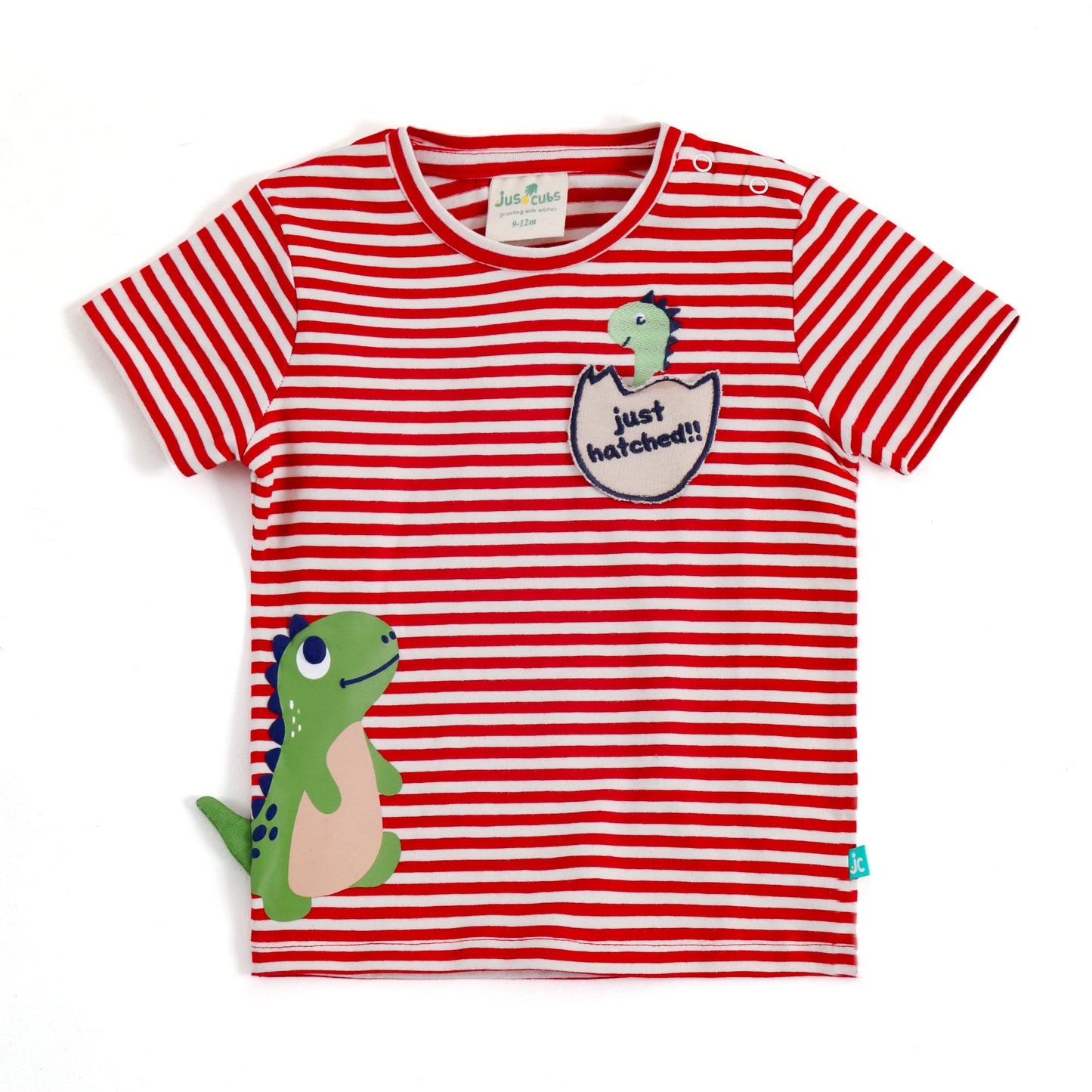 JusCubs Boys Dinosaur Printed Co-ord Set