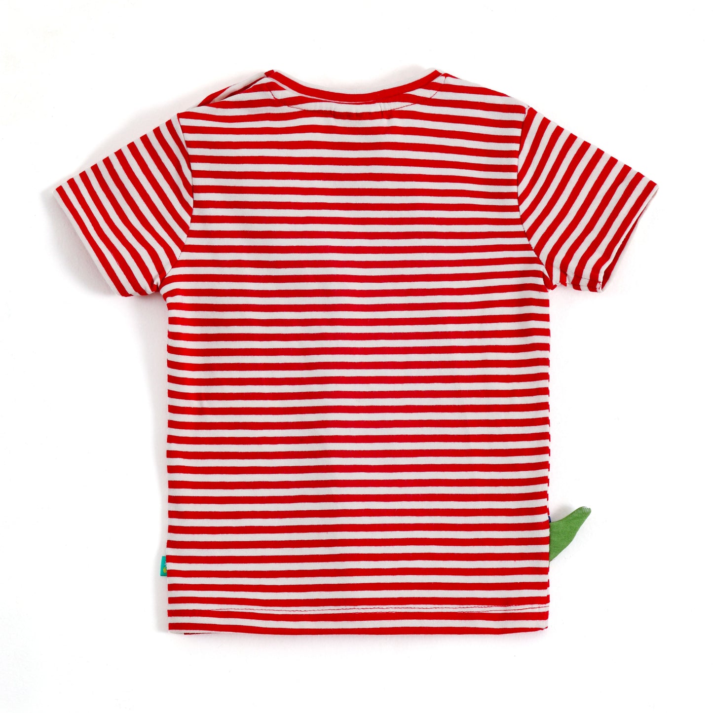 JusCubs Boys Dinosaur Printed Co-ord Set