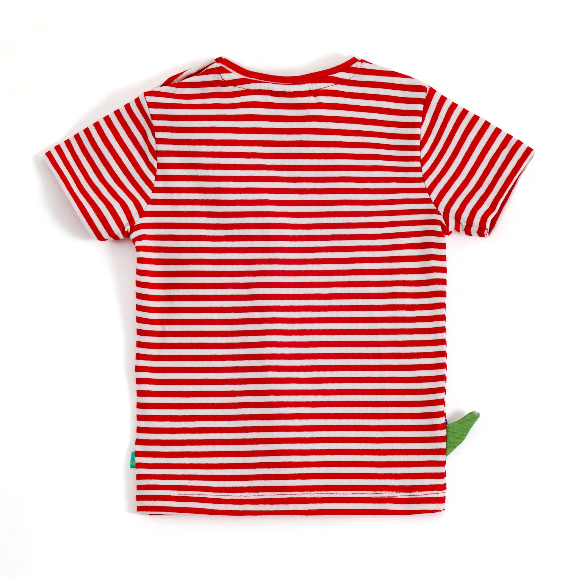 JusCubs Boys Dinosaur Printed Co-ord Set