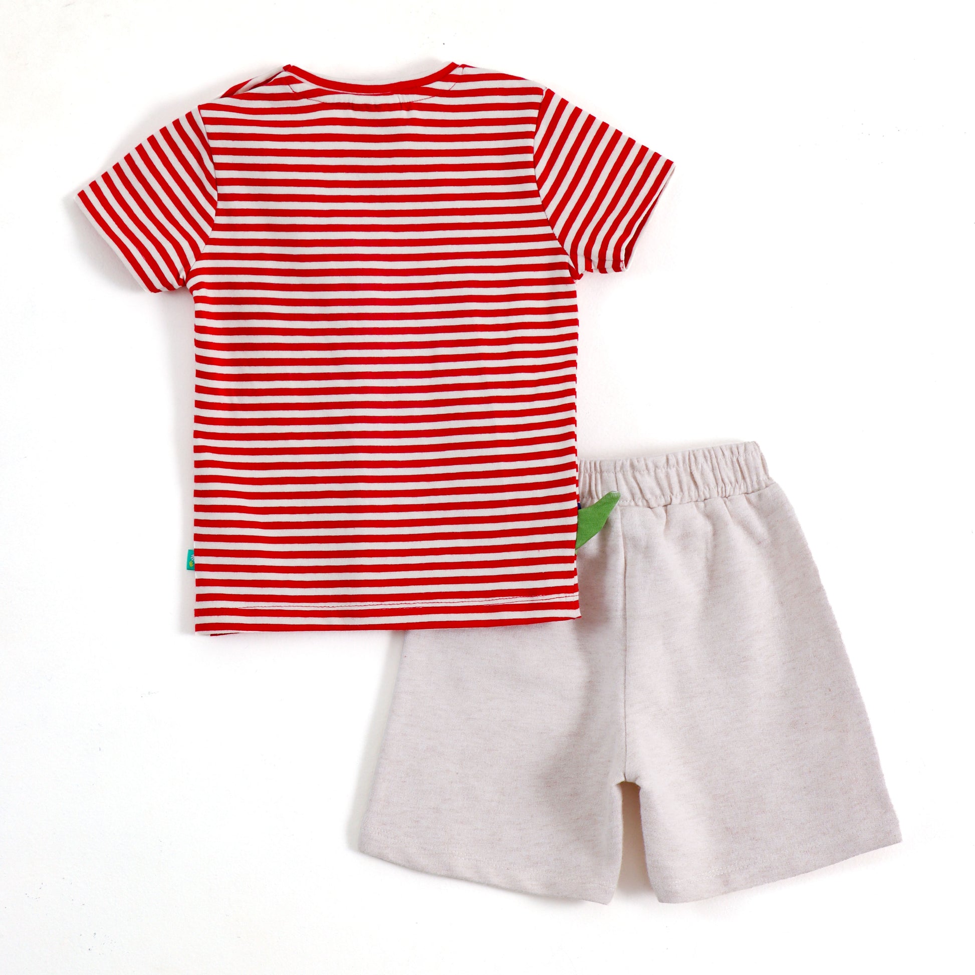 JusCubs Boys Dinosaur Printed Co-ord Set