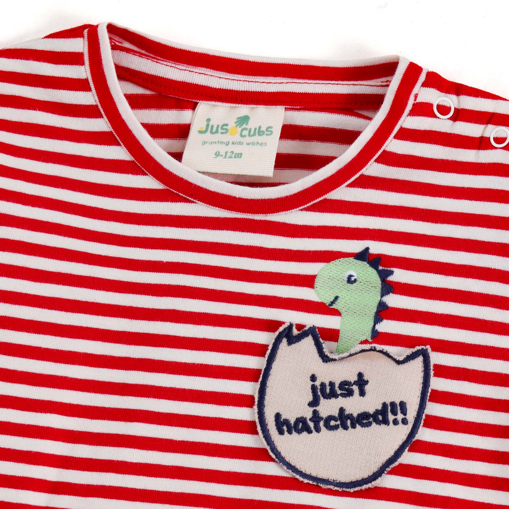 JusCubs Boys Dinosaur Printed Co-ord Set
