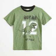 Boys Olive Green Dinosaur Graphic Printed Cotton T-Shirt
