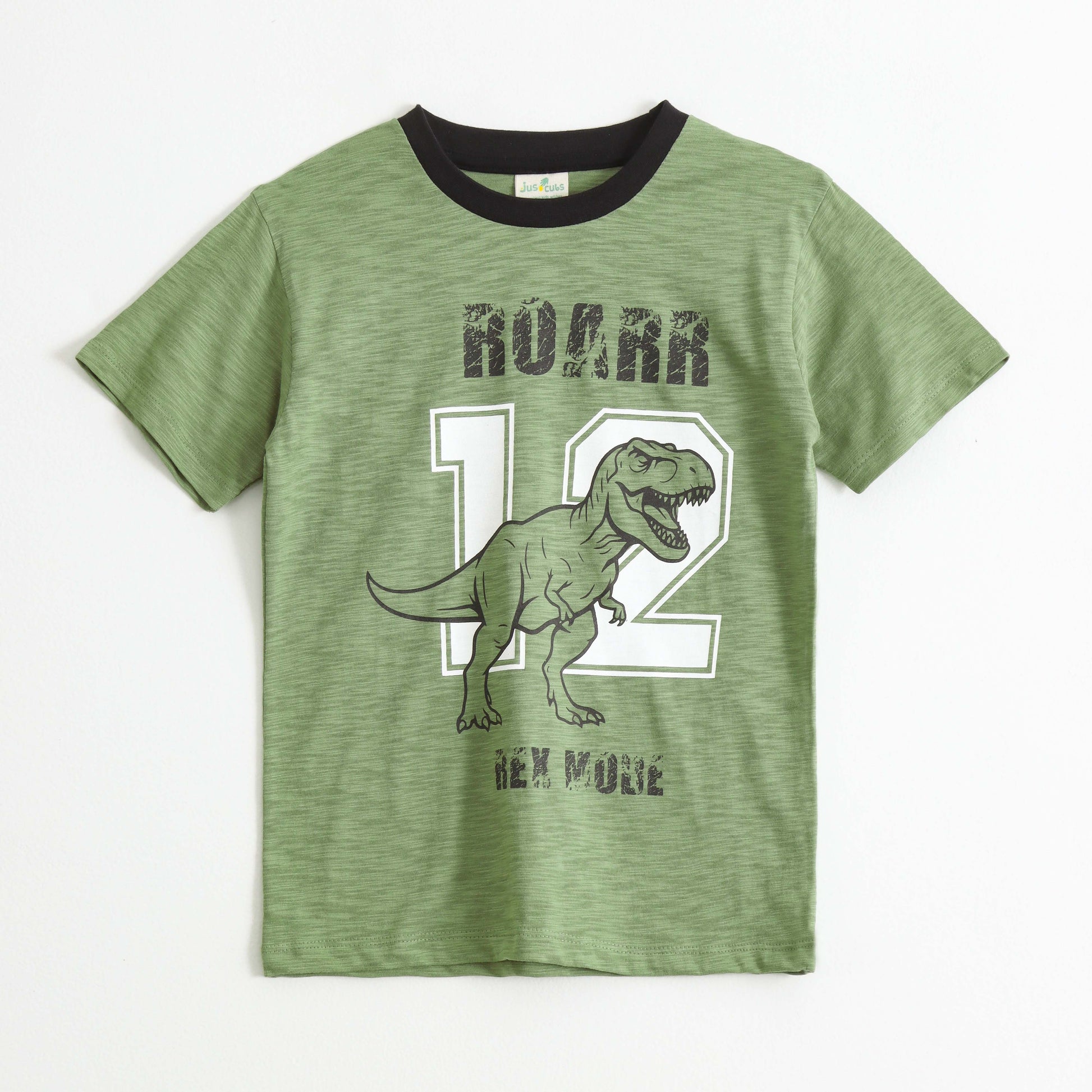 Boys Olive Green Dinosaur Graphic Printed Cotton T-Shirt