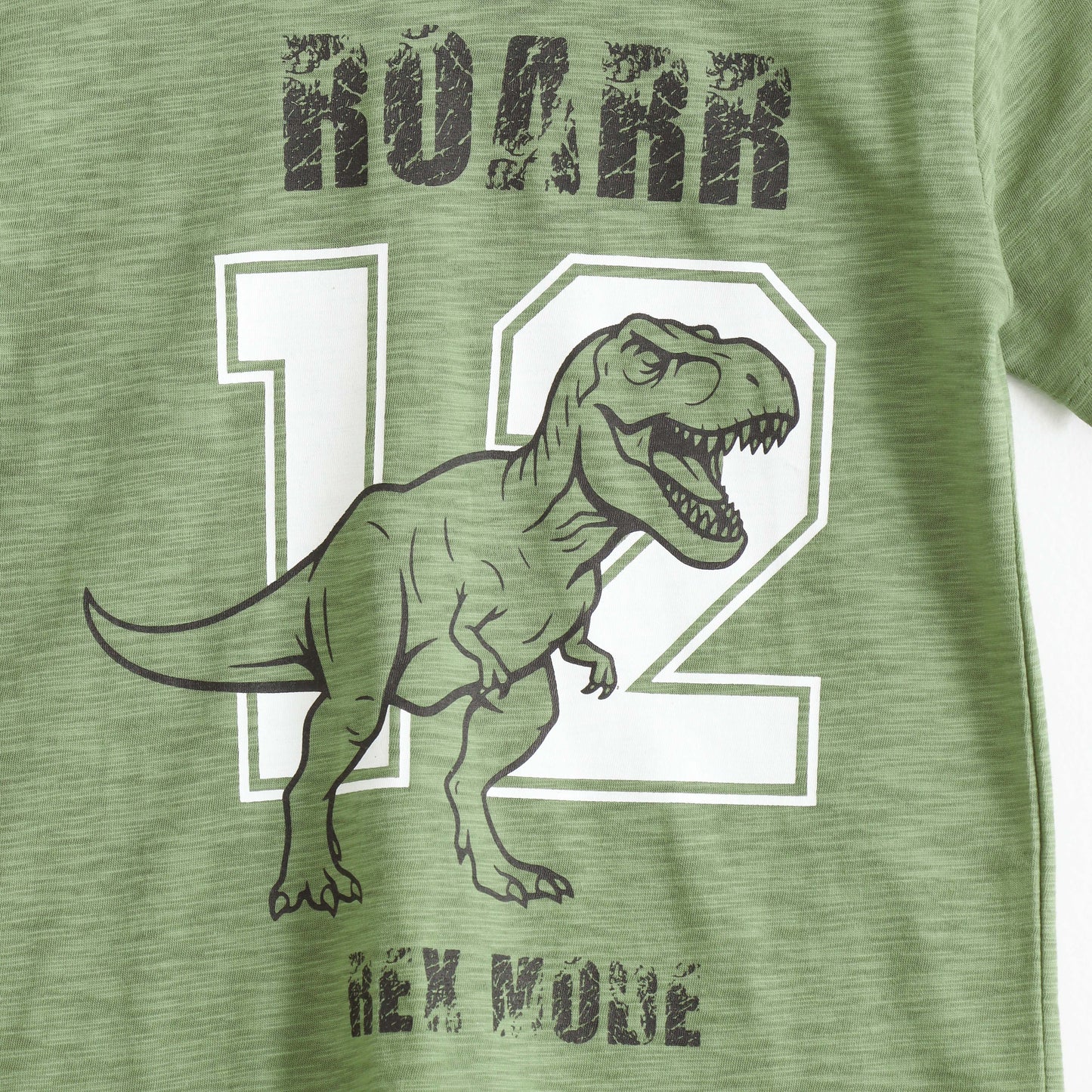 Boys Olive Green Dinosaur Graphic Printed Cotton T-Shirt