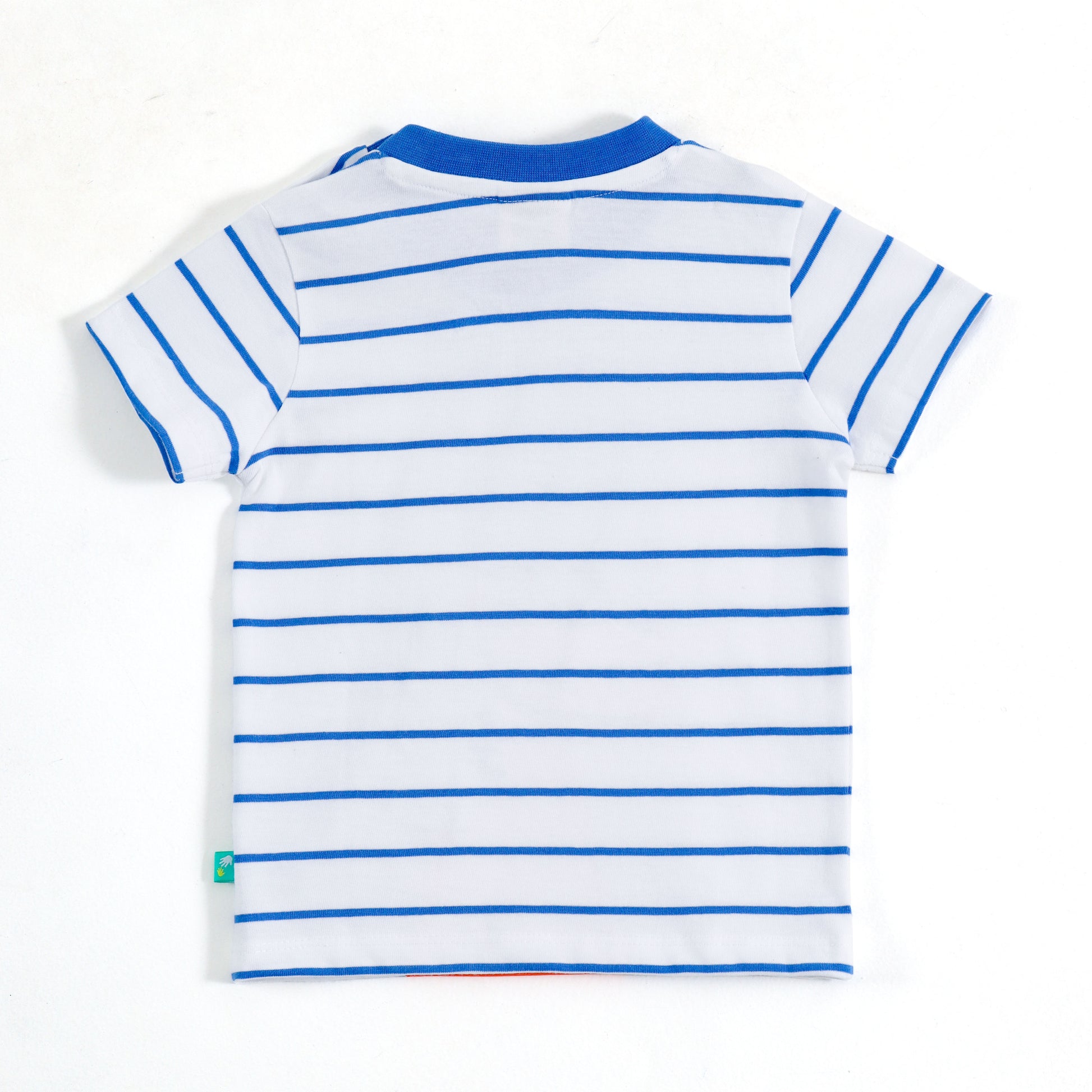 JusCubs Baby Boys Dinosaur Applique T-Shirt & Shorts Co-ord Set