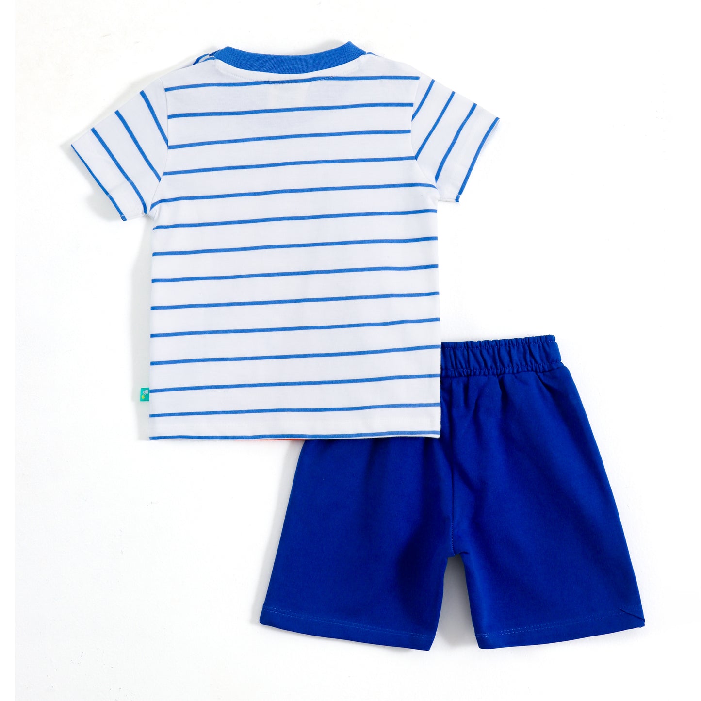 JusCubs Baby Boys Dinosaur Applique T-Shirt & Shorts Co-ord Set