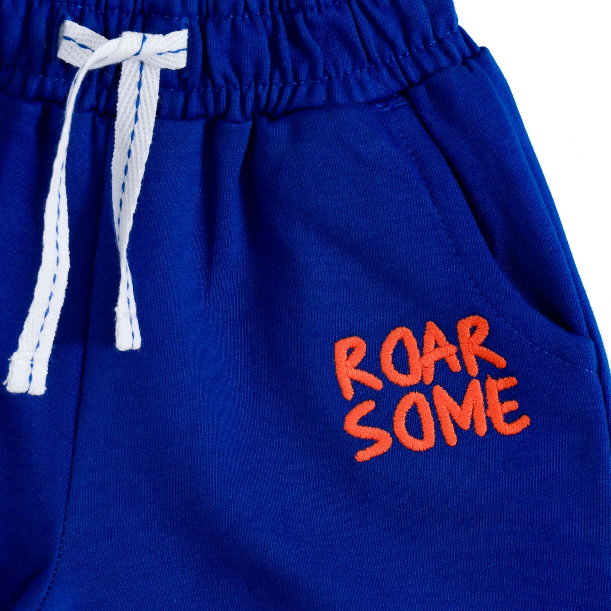 JusCubs Baby Boys Dinosaur Applique T-Shirt & Shorts Co-ord Set