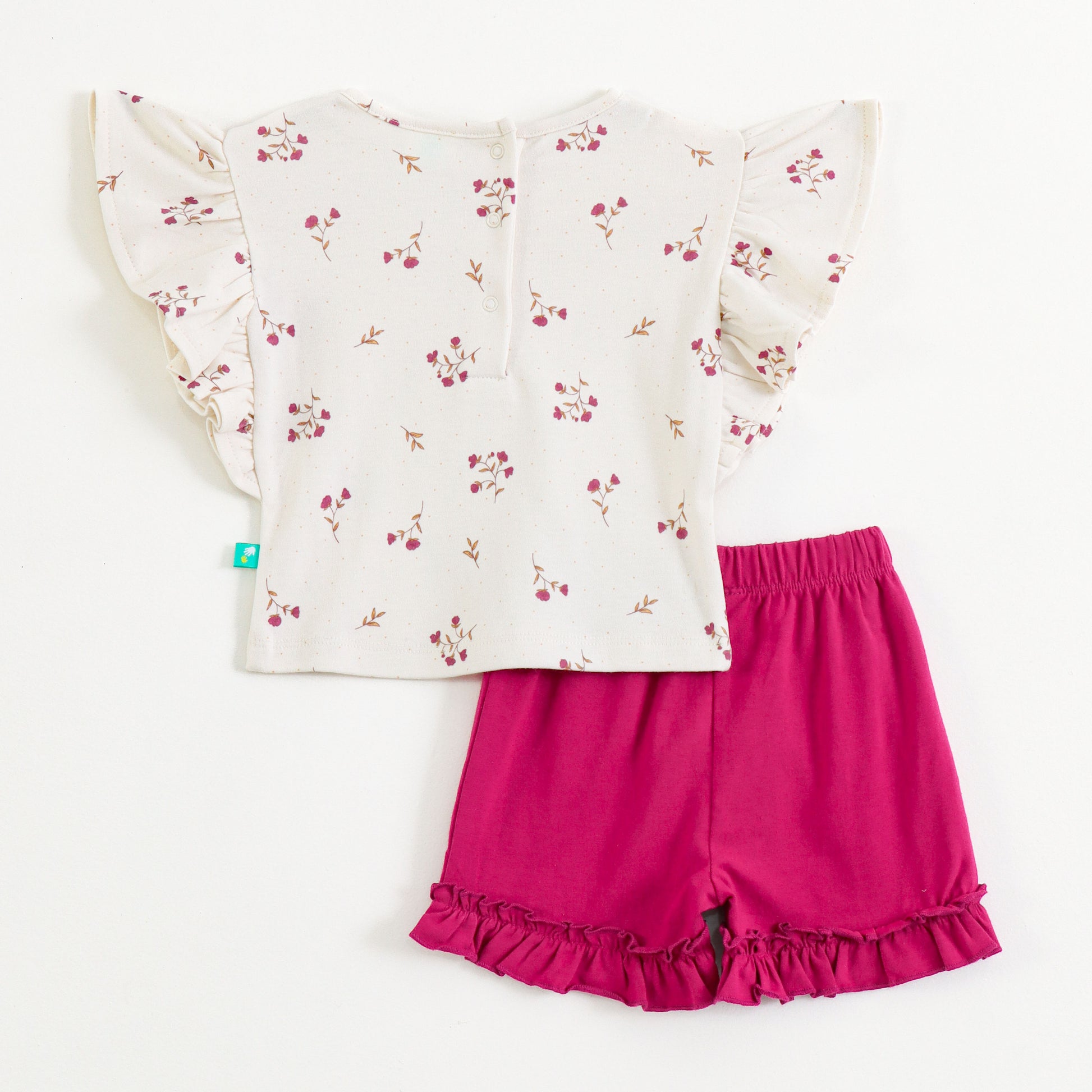 Baby Girls 2-Piece Cotton Outfit | Floral Print Top & Elastic Waist Ruffle Shorts | Summer Wear