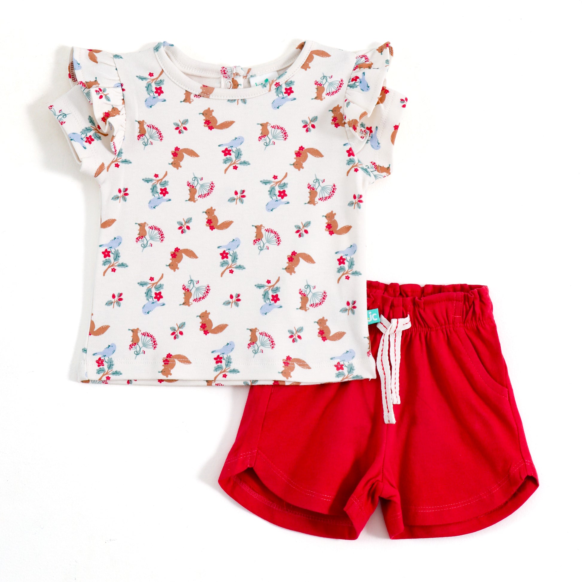 JusCubs Baby Girls Printed Top & Shorts Co-ord Set
