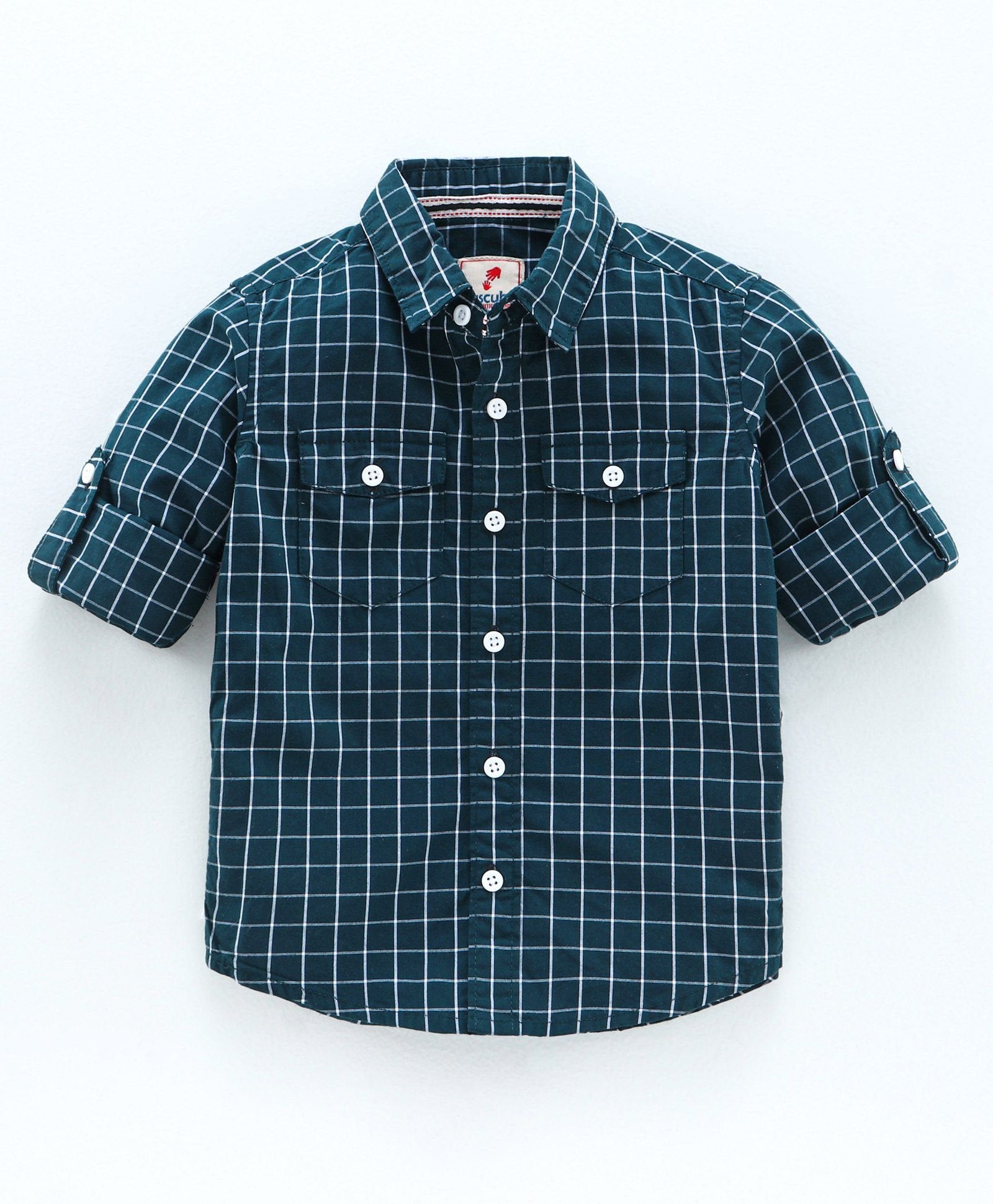 Full Sleeve Checked 100% Cotton Soft Feel Biowash Shirt - Green