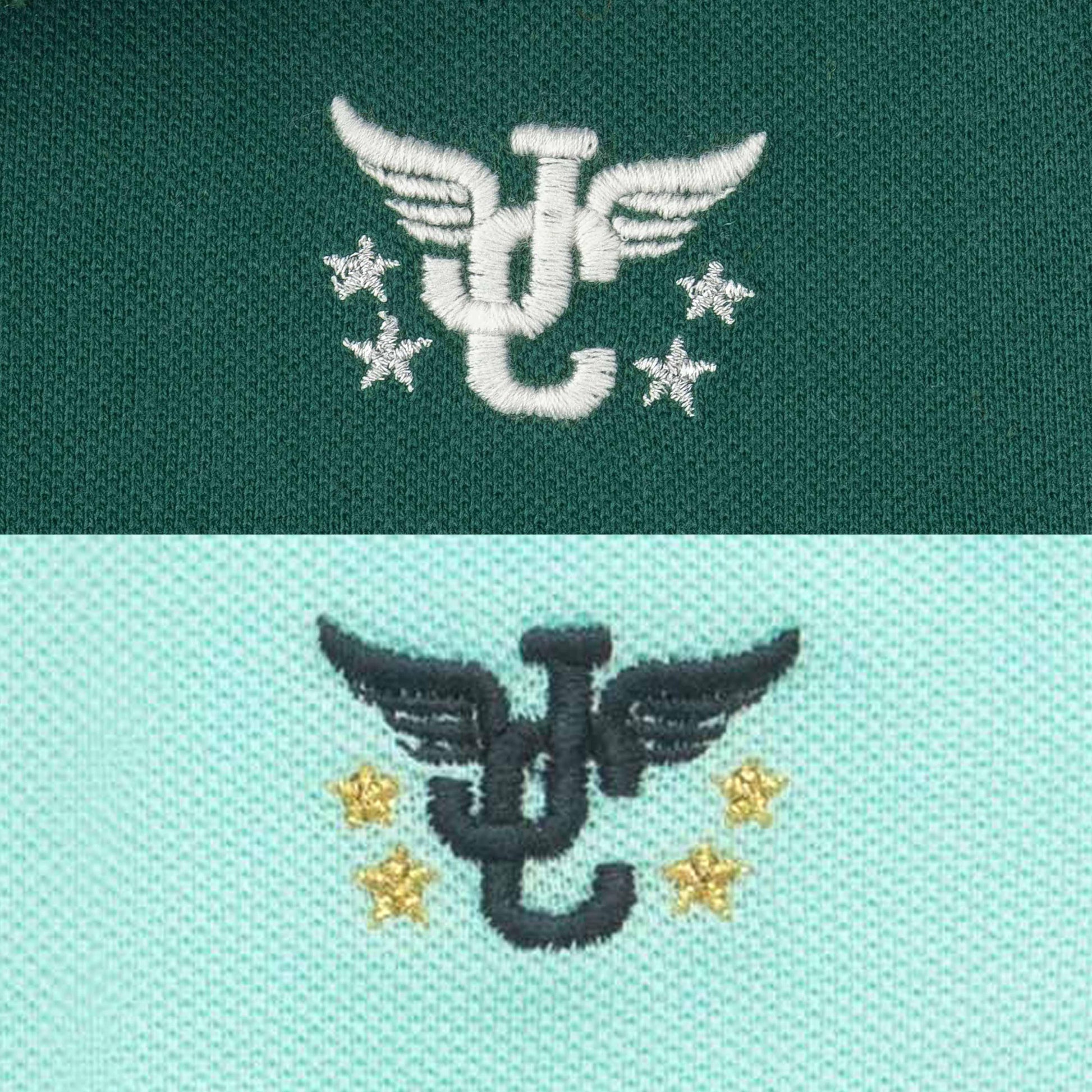 Boys' Pack of 2 Polo T-Shirts – Green & Sky Blue with Embroidered Logo