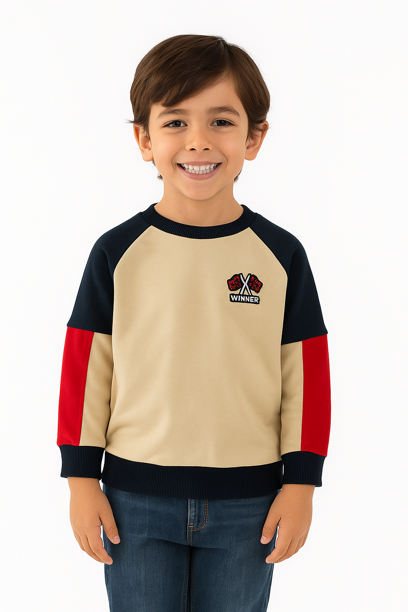 Boys' Color Embroidered Raglan Sweatshirt - Beige, Navy & Red