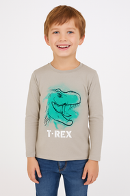 Boys' Grey T-Rex Printed Long Sleeve T-Shirt