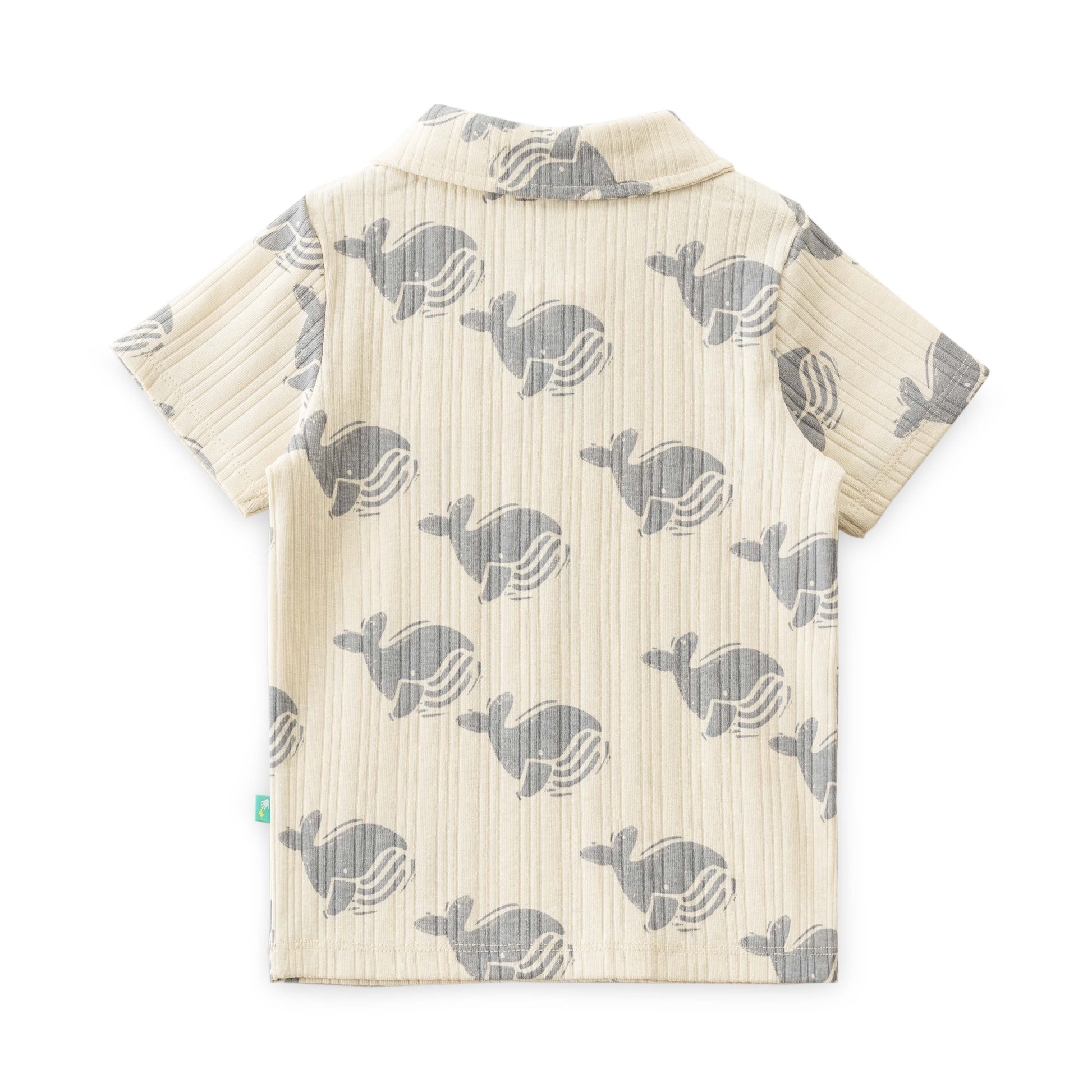 "Baby Boys White Bunny Print Co-Ord Set – Half Sleeve T-Shirt & Shorts | 100% Cotton"