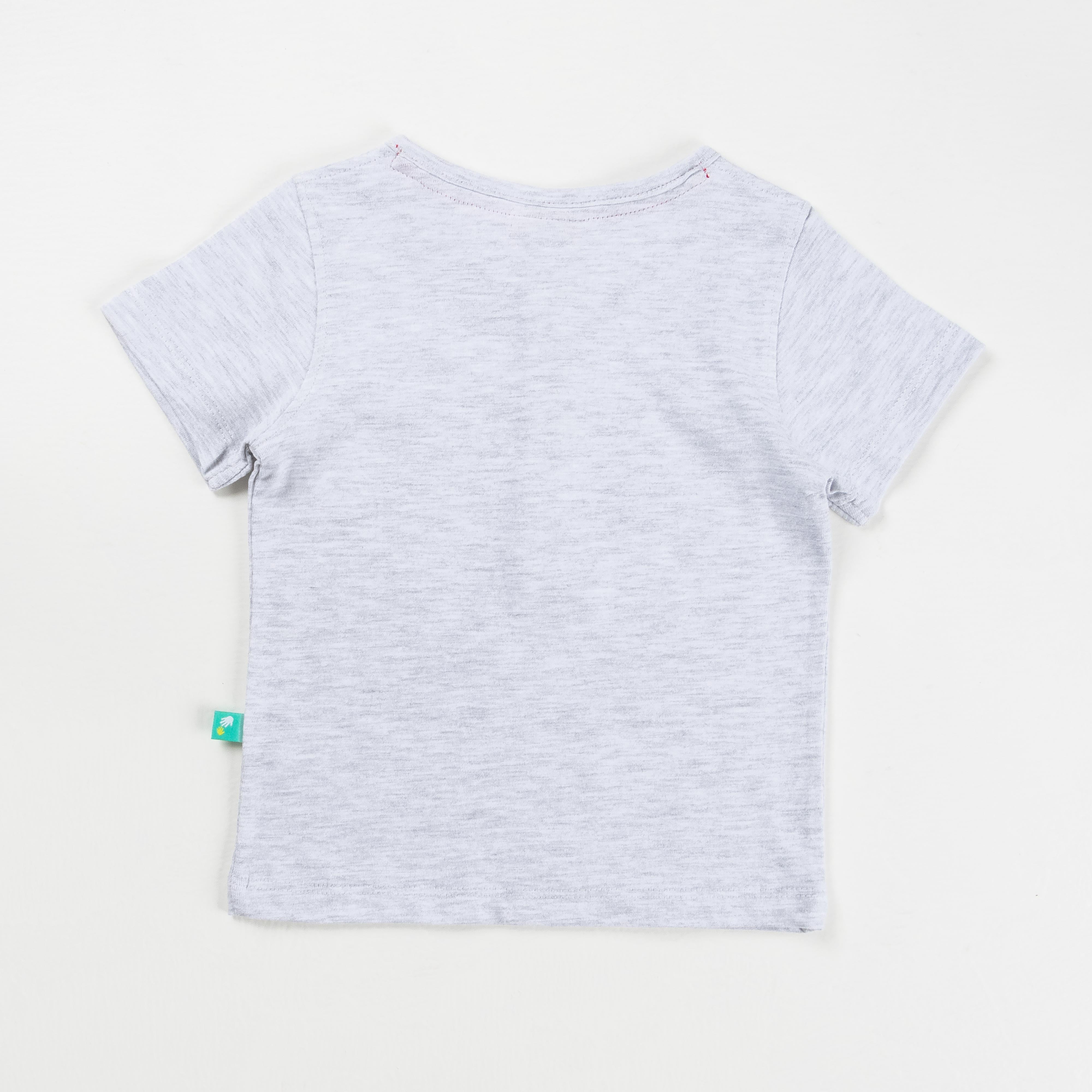 Baby Boys Half Sleeve Graphic Printed T Shirt