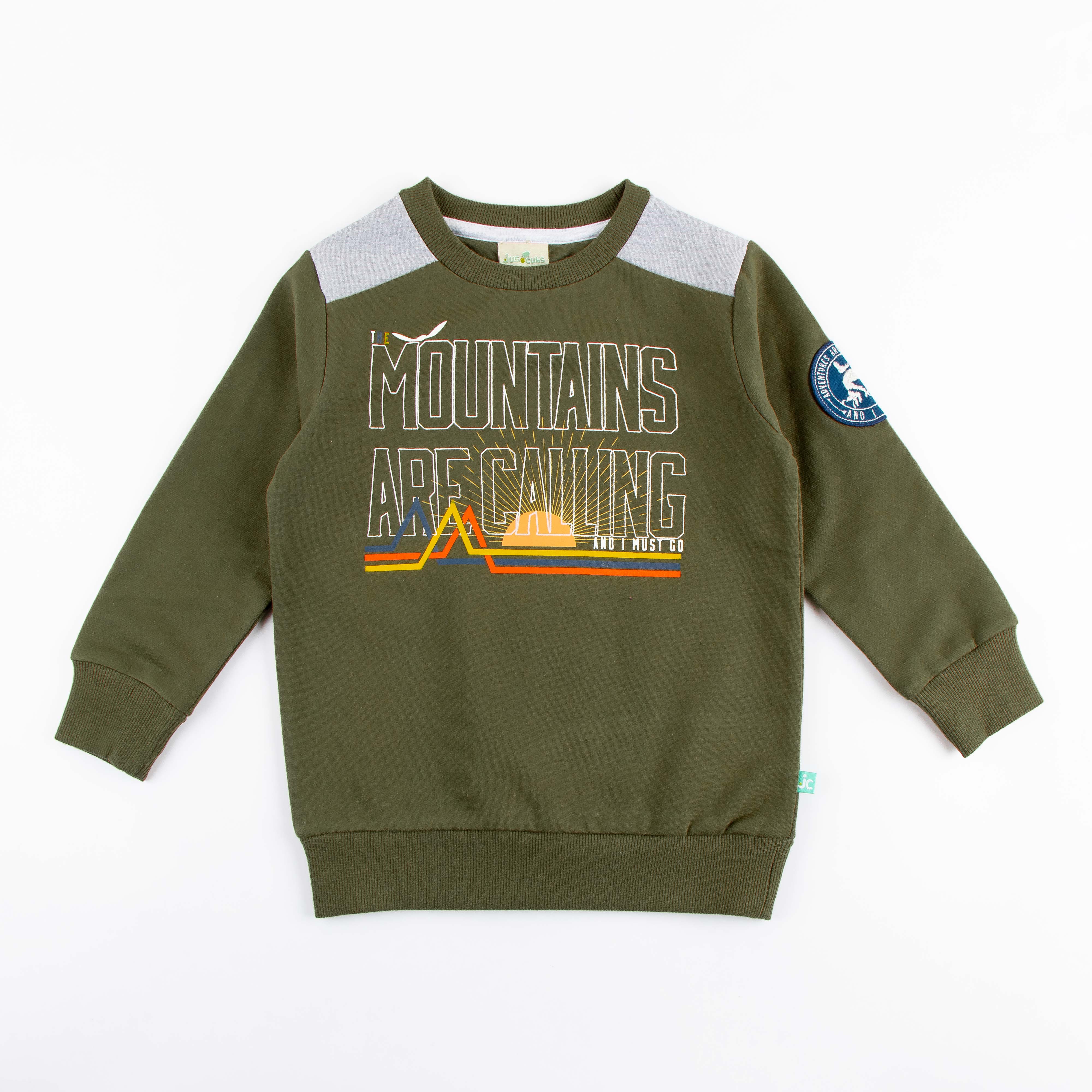 Boys Printed  Sweatshirt