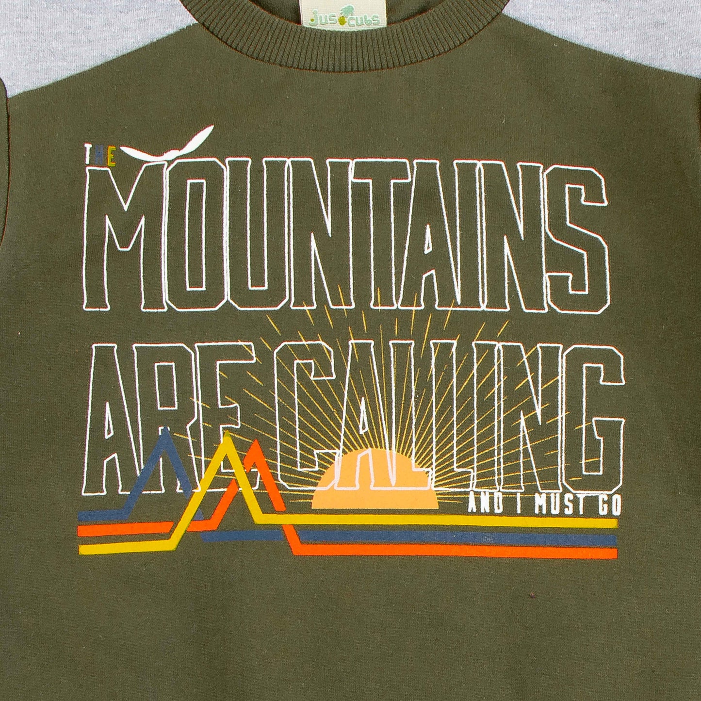 "Boys'  Full Sleeve T-Shirt – 'The Evolution Continues' Space & Dino Print"