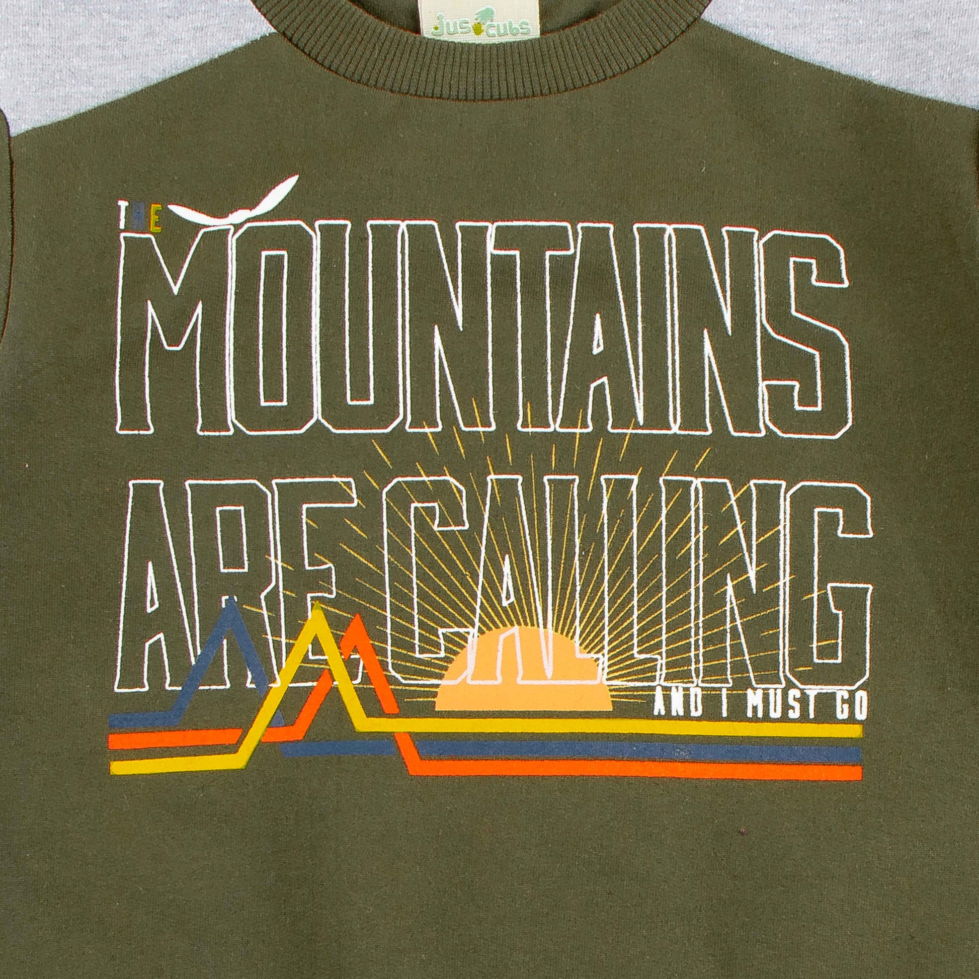"Boys'  Full Sleeve T-Shirt – 'The Evolution Continues' Space & Dino Print"