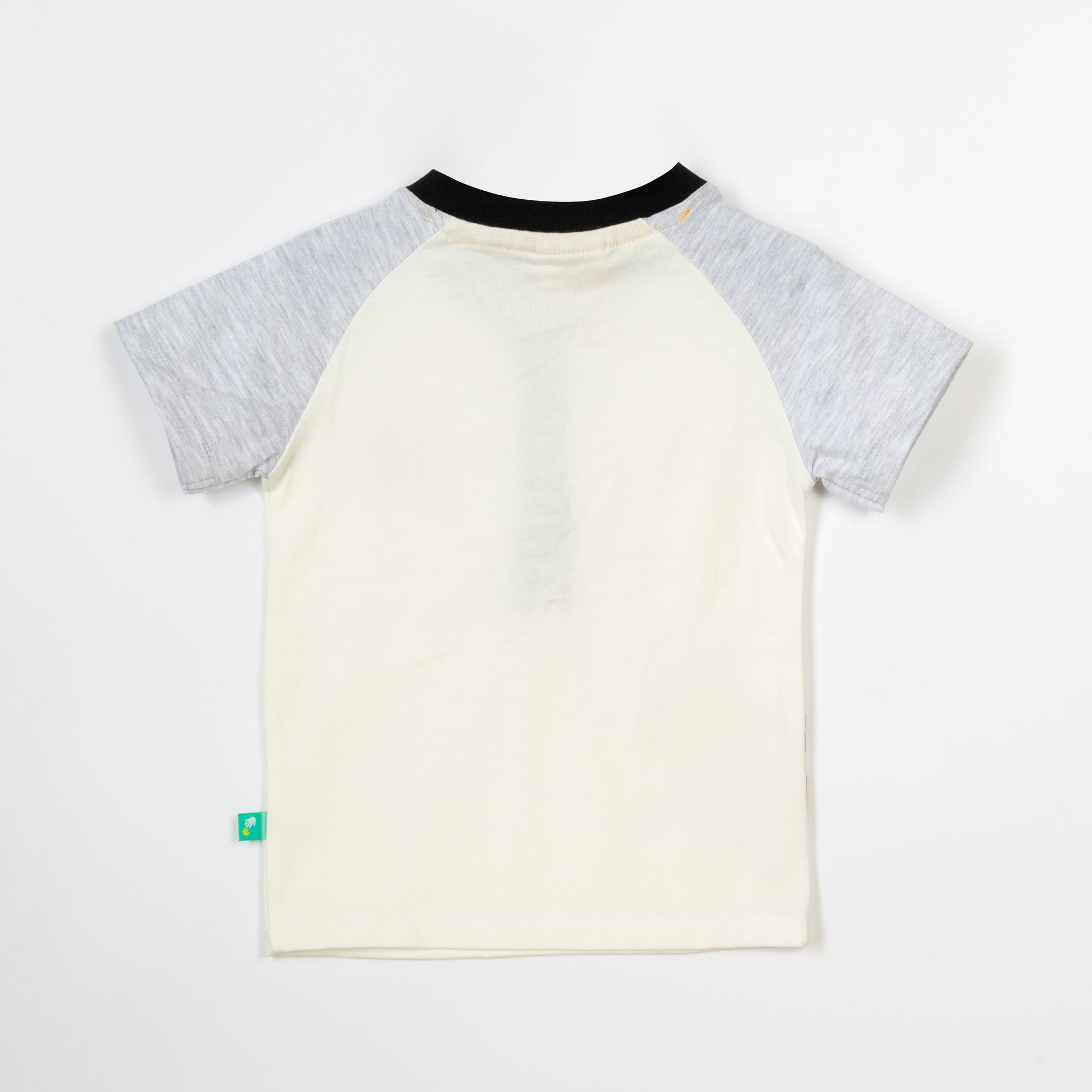 Boys Half Sleeve Printed T-Shirt
