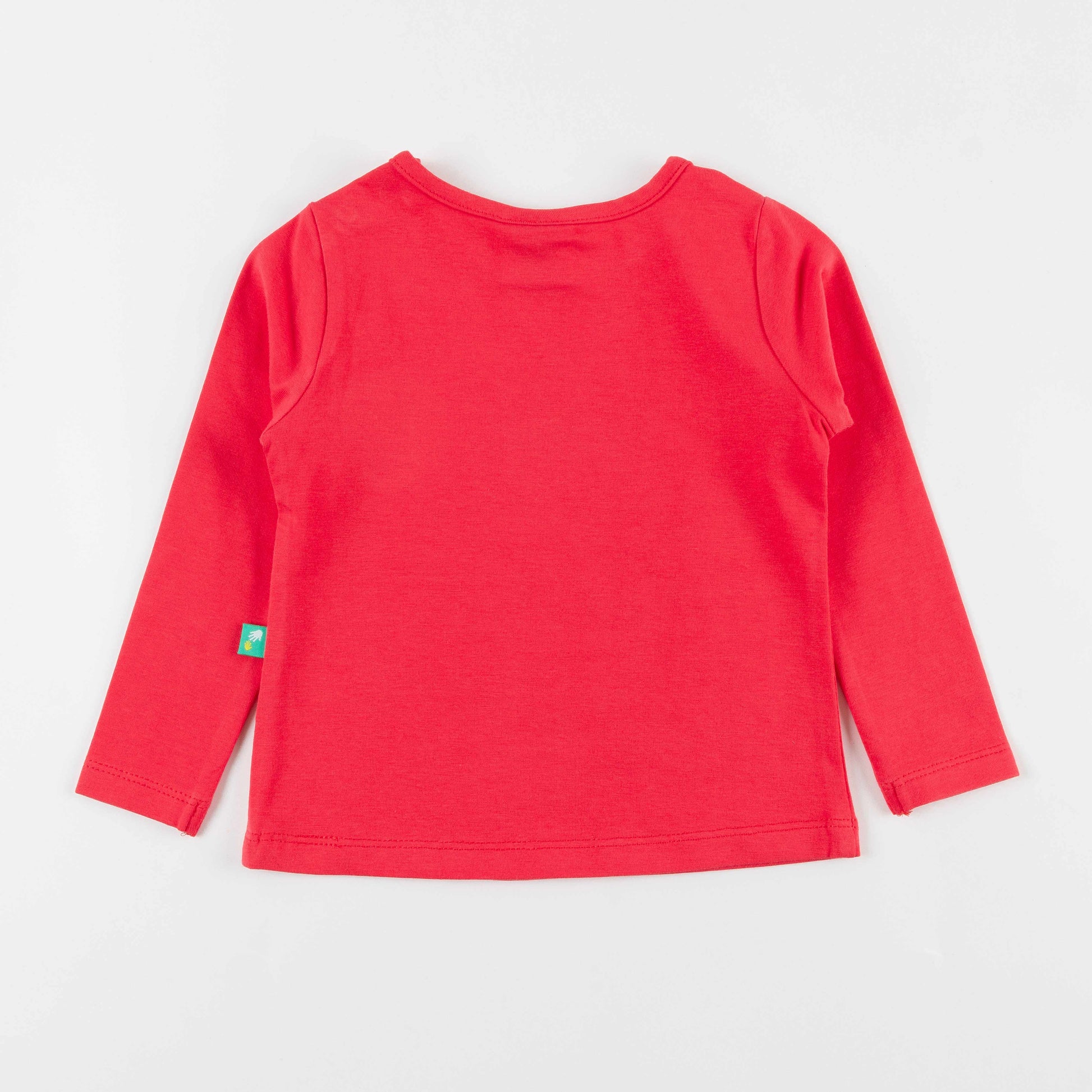 Girls Full Sleeve Little Princess Printed T-Shirt