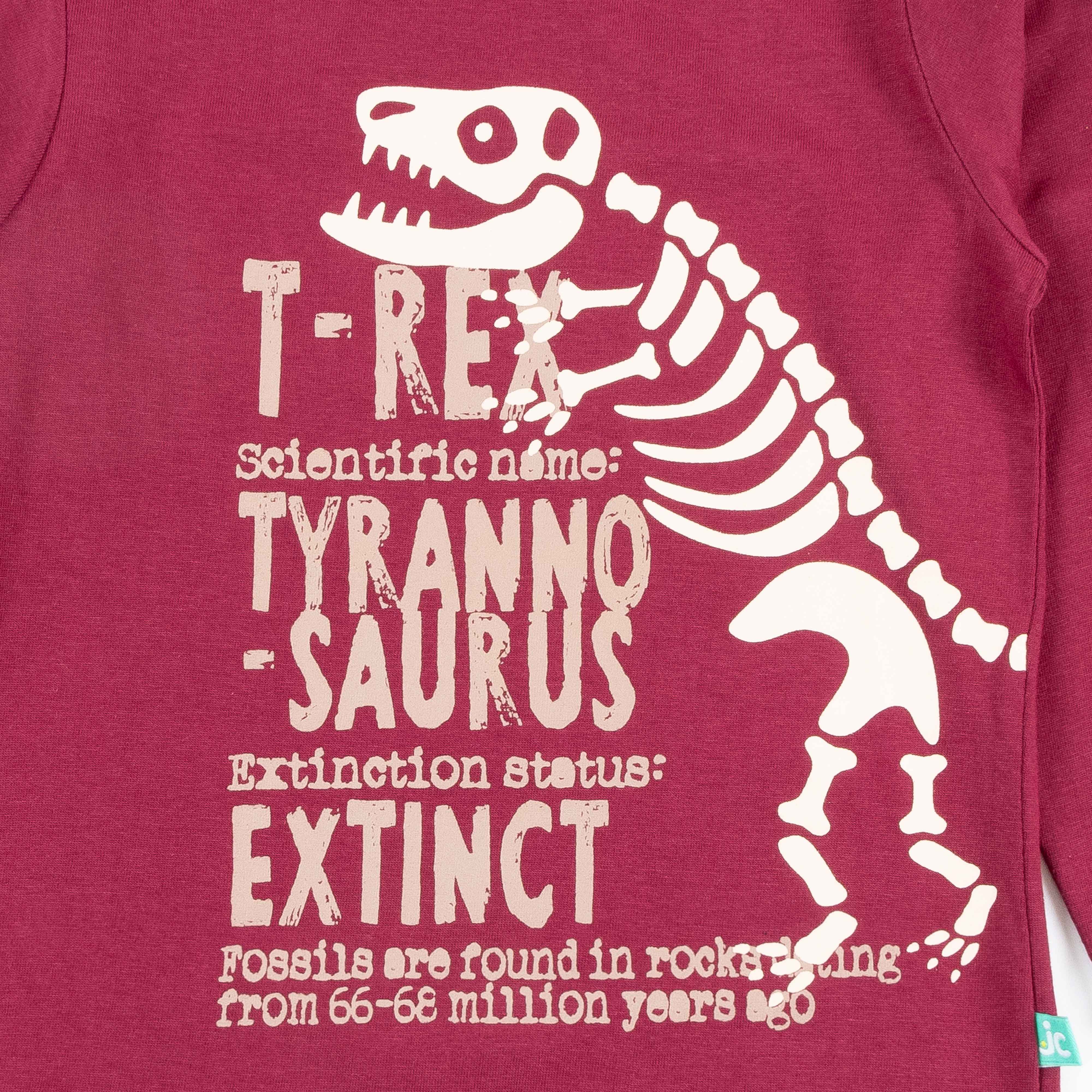 Boys Full Sleeve Dino Printed T-Shirt