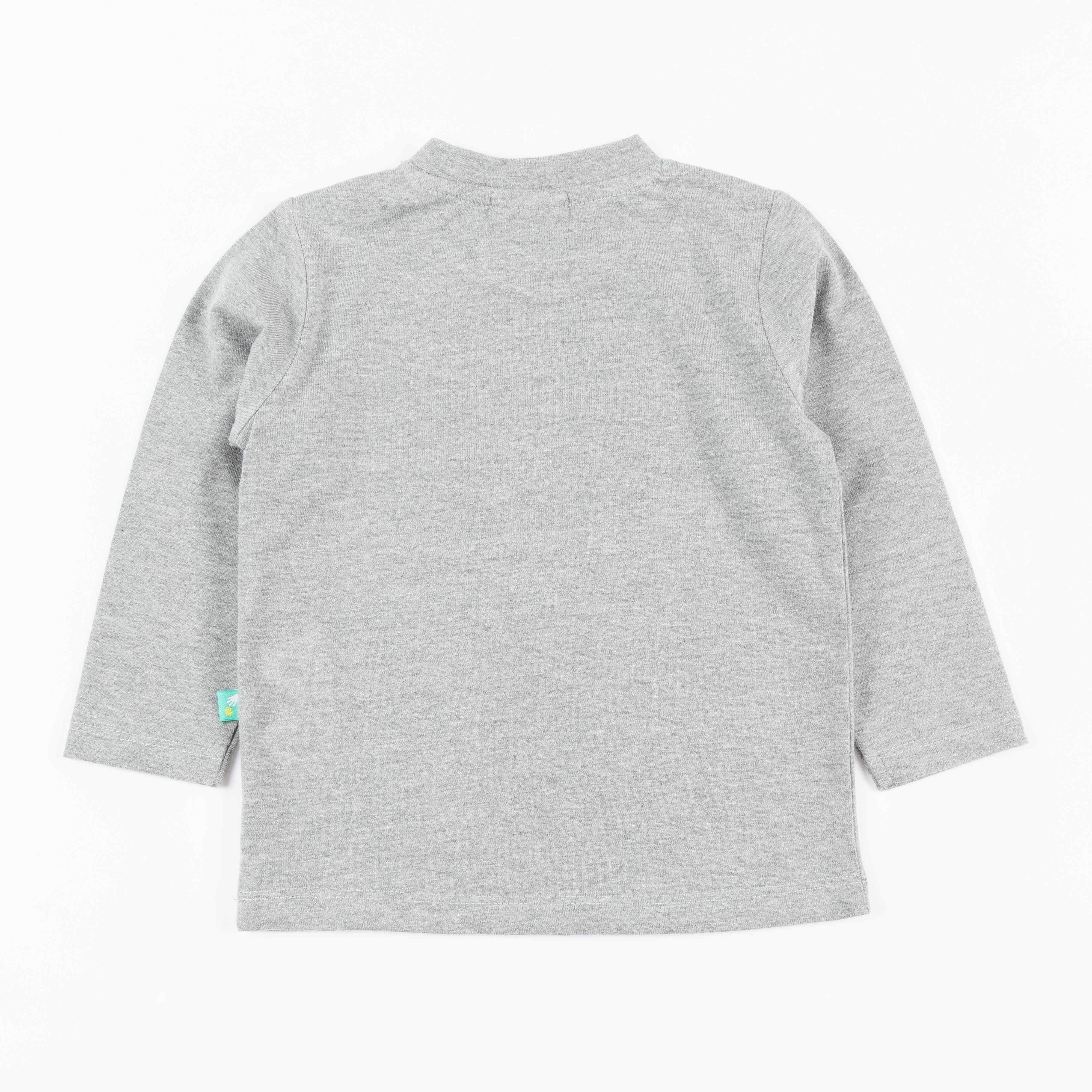 Crocodile Appliqué Full Sleeve T-Shirt for Boys – “One Snappy Little Crocodile” Design