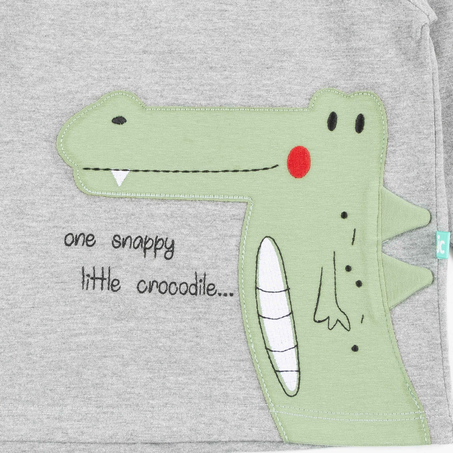 Crocodile Appliqué Full Sleeve T-Shirt for Boys – “One Snappy Little Crocodile” Design