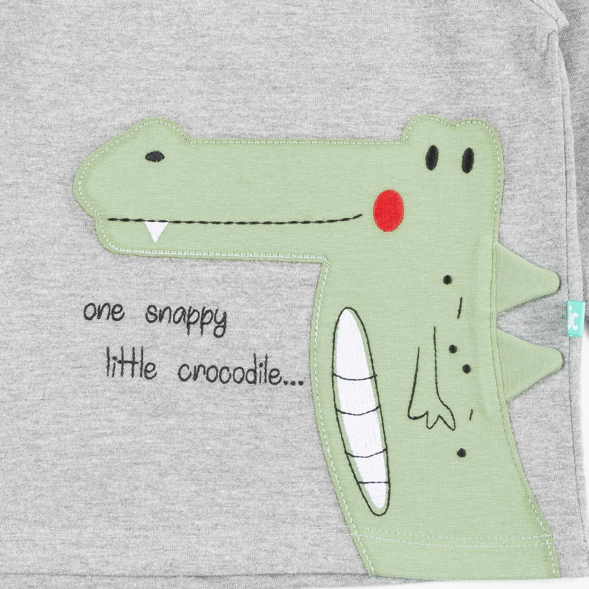 Crocodile Appliqué Full Sleeve T-Shirt for Boys – “One Snappy Little Crocodile” Design