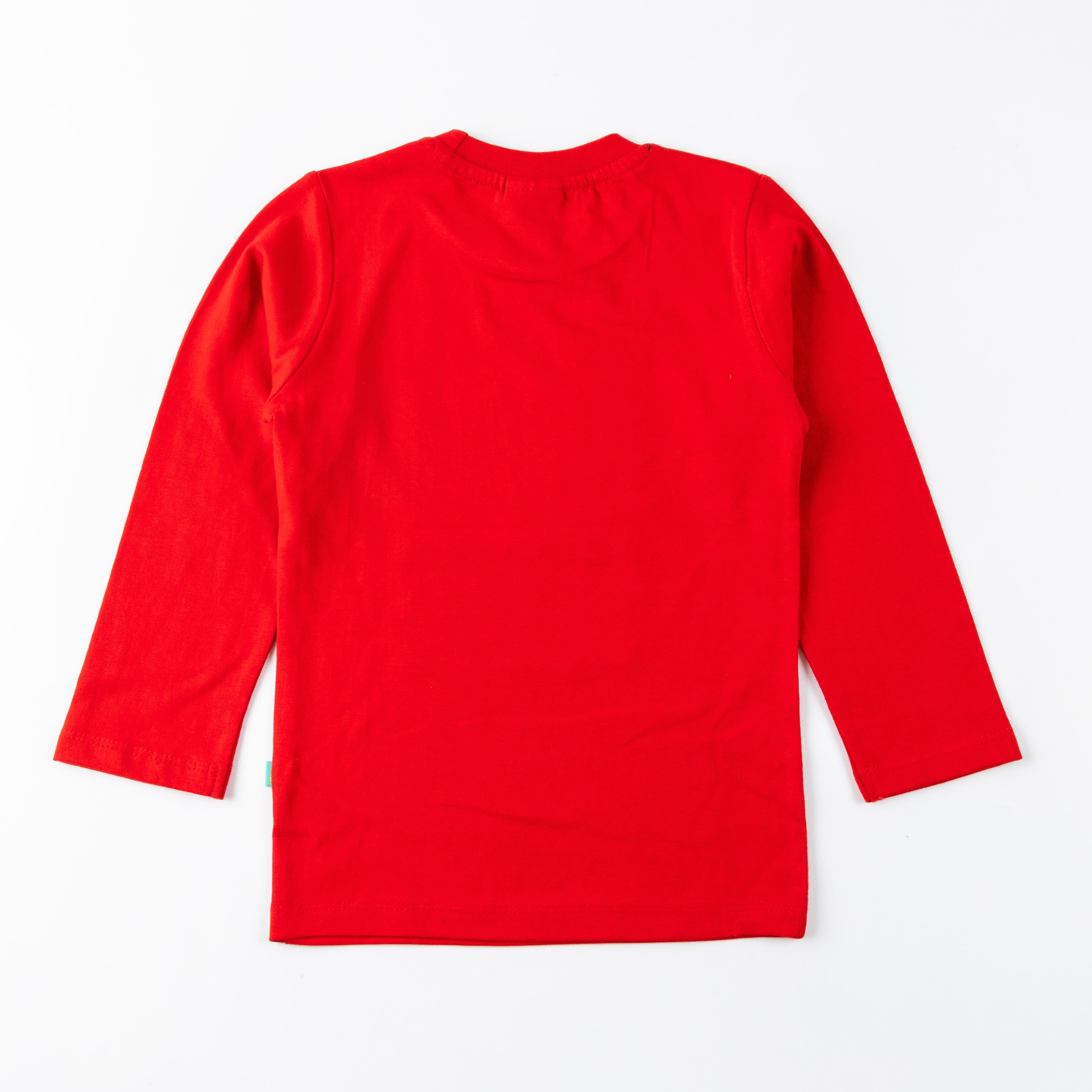 "Boys' Long Sleeve T-Shirt – 'We Are All Roarsome' Graphic Print"