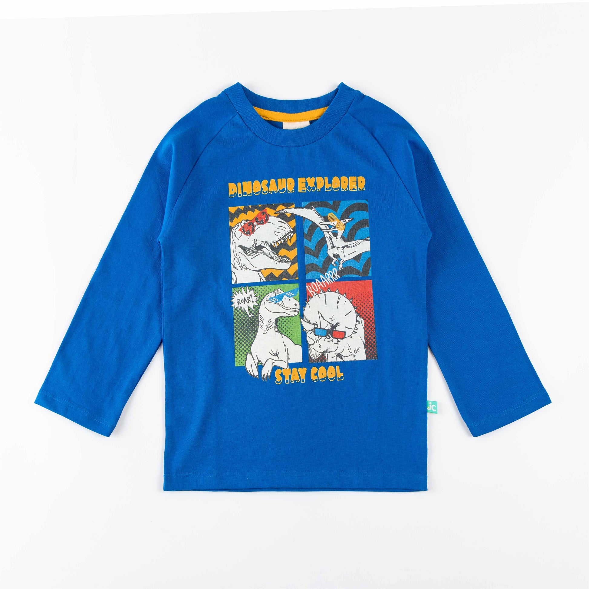 "Boys 'Dinosaur Explorer' Graphic Tee – Long Sleeve Cotton T-shirt"