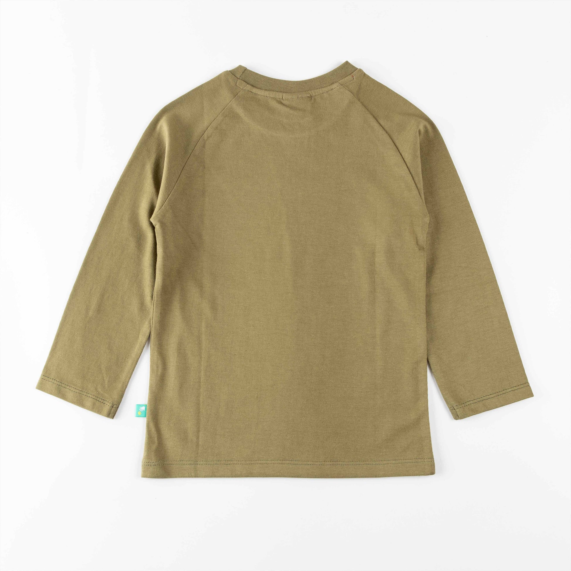 "Boys 'Dinosaur Explorer' Graphic Tee – Long Sleeve Cotton T-shirt"