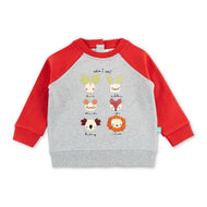"Girls Animal Puzzle Sweatshirt with Contrast Raglan Sleeves – 'Who Am I?' Design"