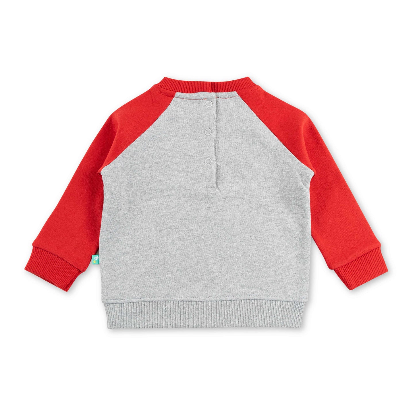 "Girls Animal Puzzle Sweatshirt with Contrast Raglan Sleeves – 'Who Am I?' Design"