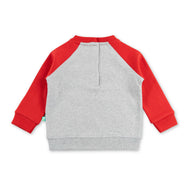 "Girls Animal Puzzle Sweatshirt with Contrast Raglan Sleeves – 'Who Am I?' Design"