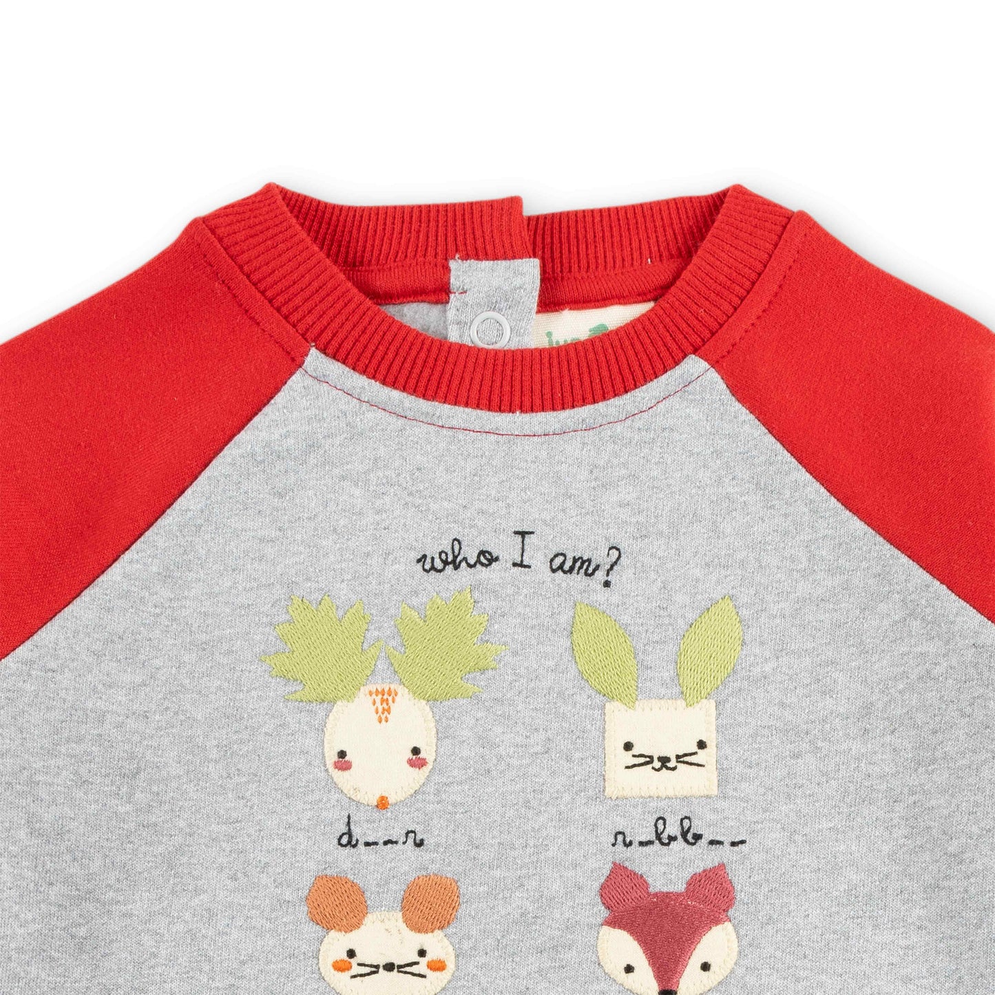 "Girls Animal Puzzle Sweatshirt with Contrast Raglan Sleeves – 'Who Am I?' Design"